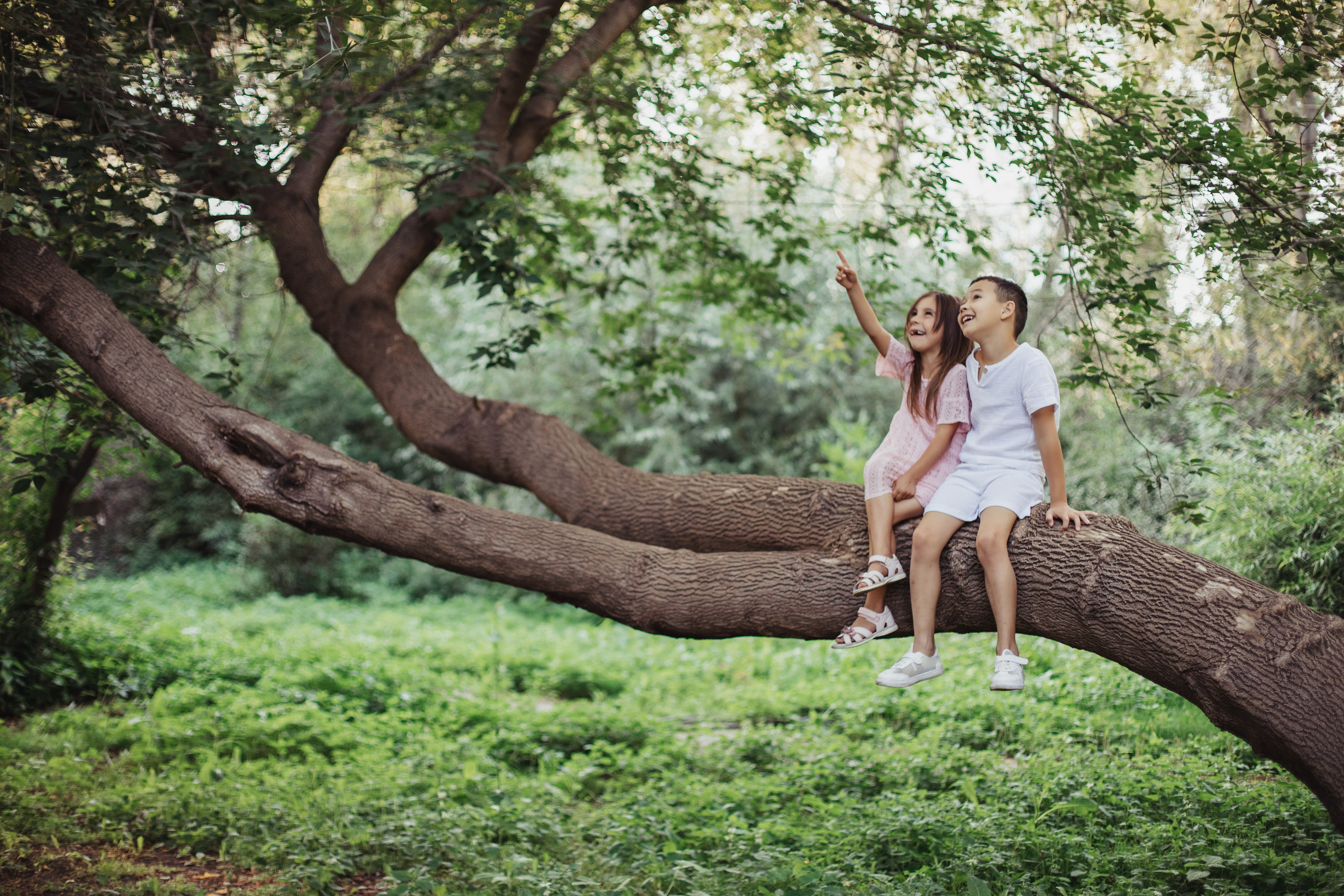Прогулка в Ботаническом саду. Фотограф Анна Лазарева