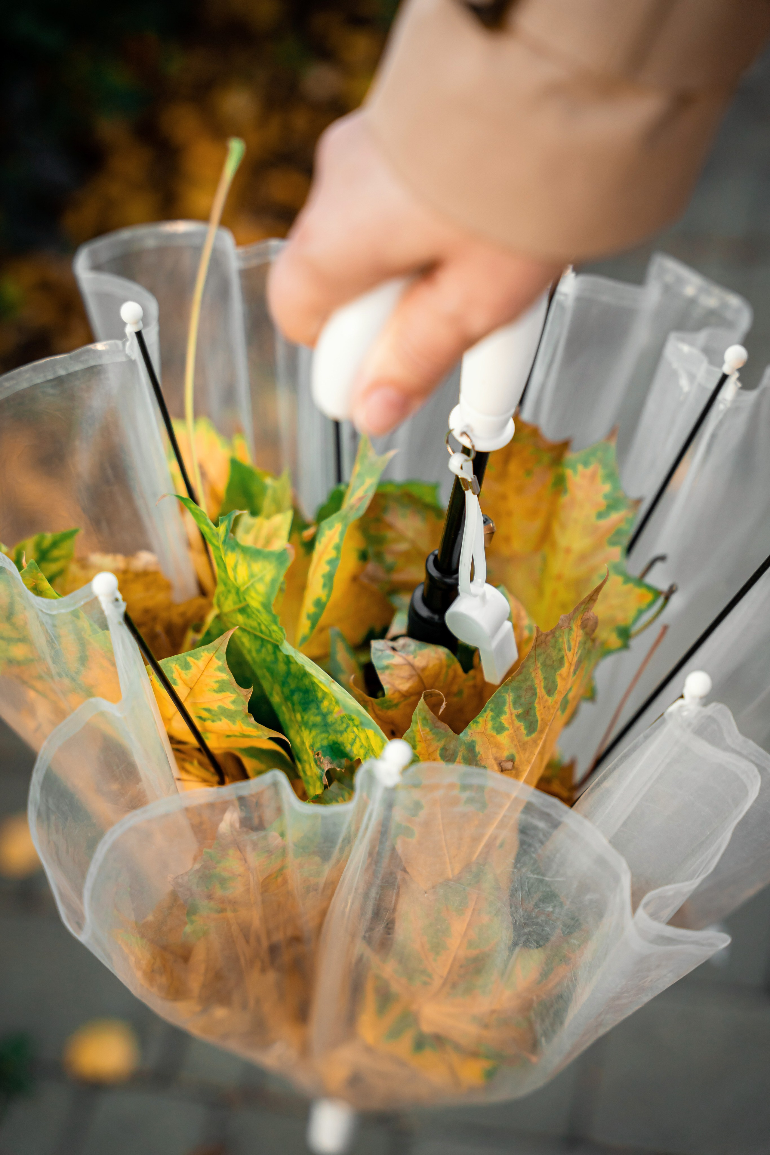 Осень. Фотограф Валентина Полунина