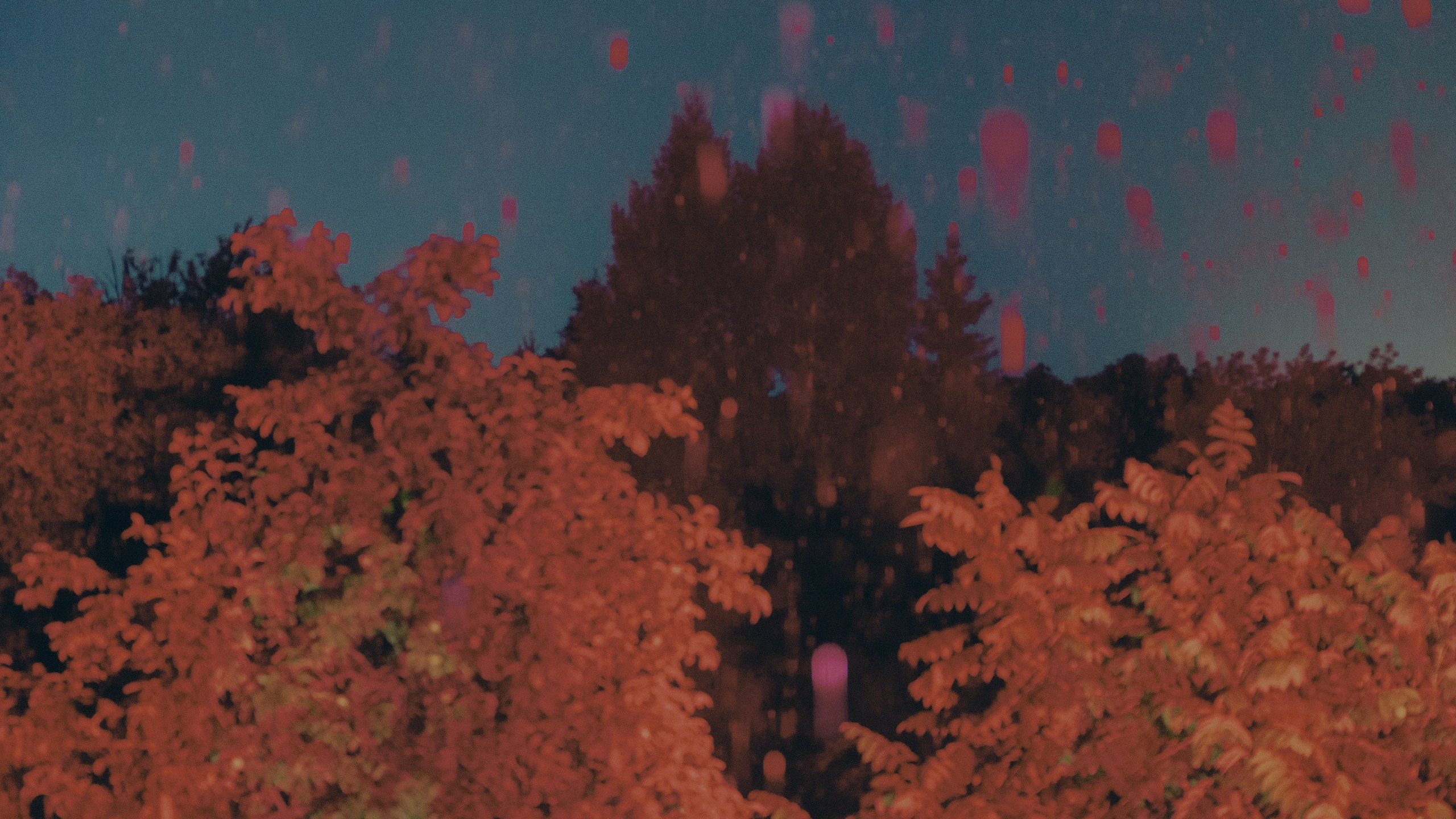 Саша Ковальчук — Репортажный Фотограф