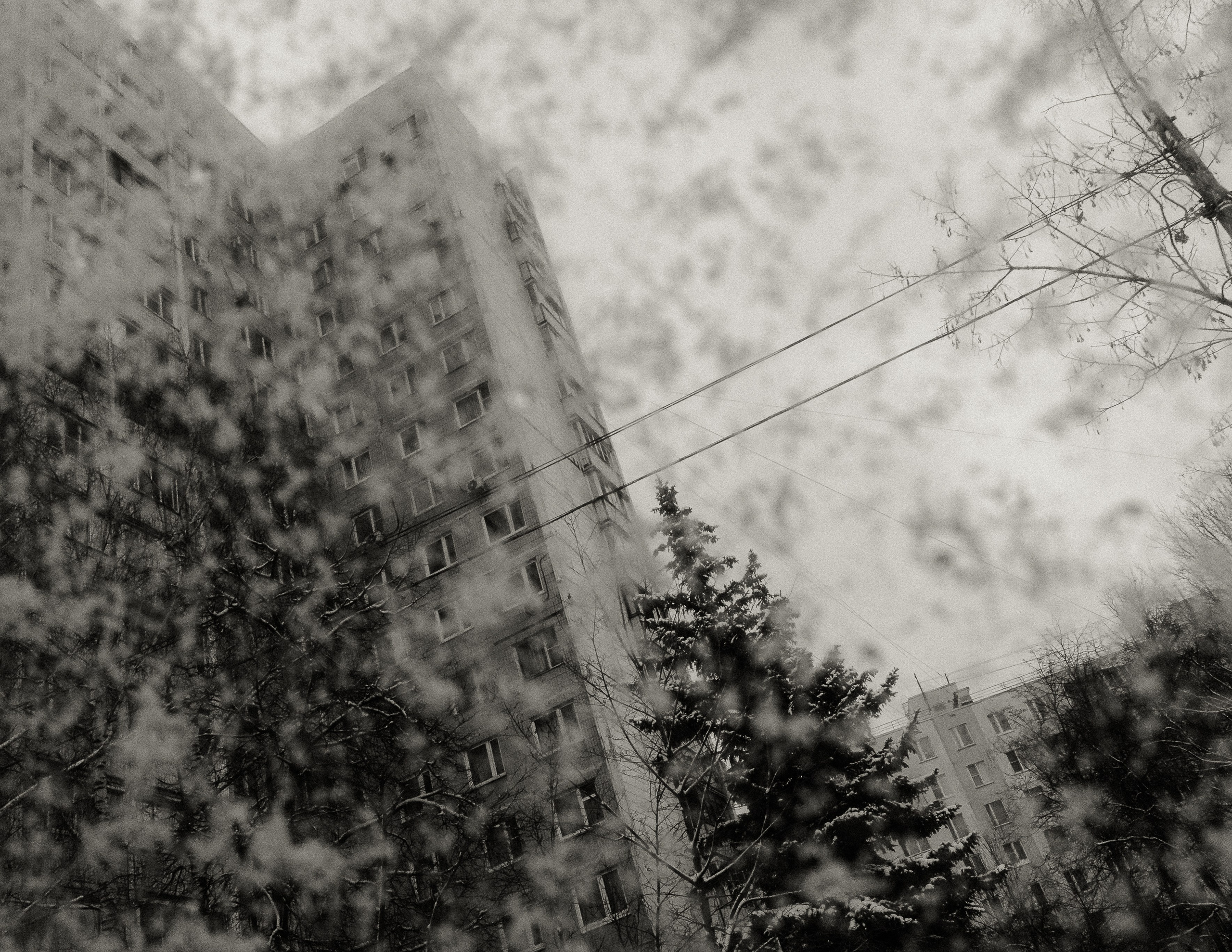 Саша Ковальчук — Репортажный Фотограф