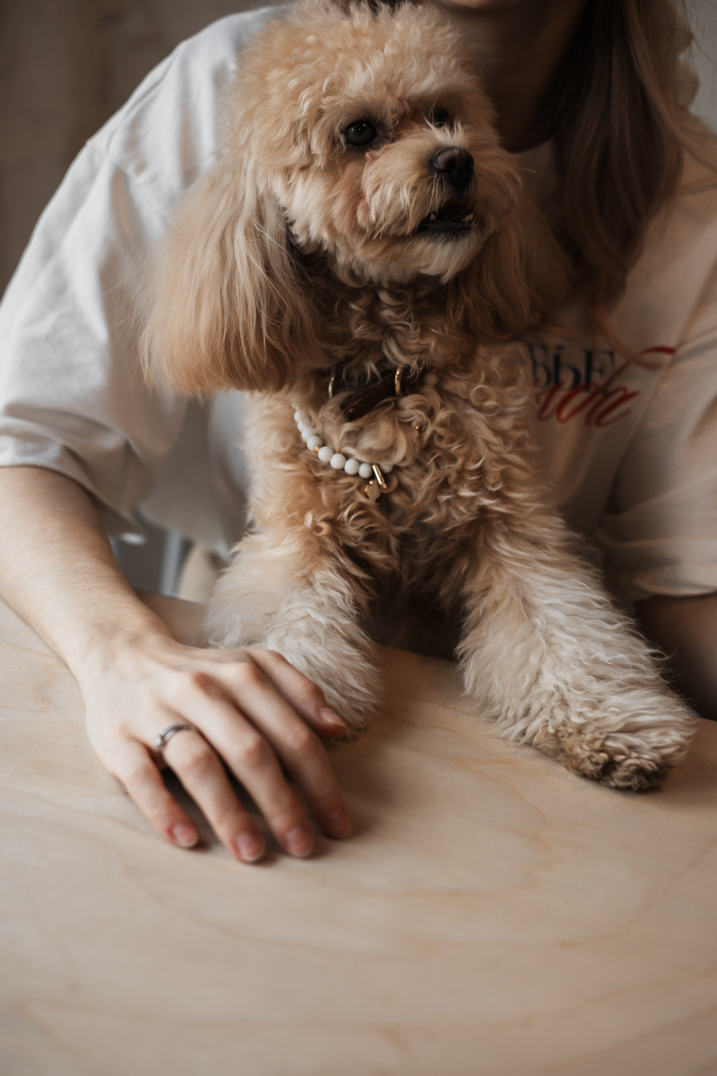 Алина — прогулка