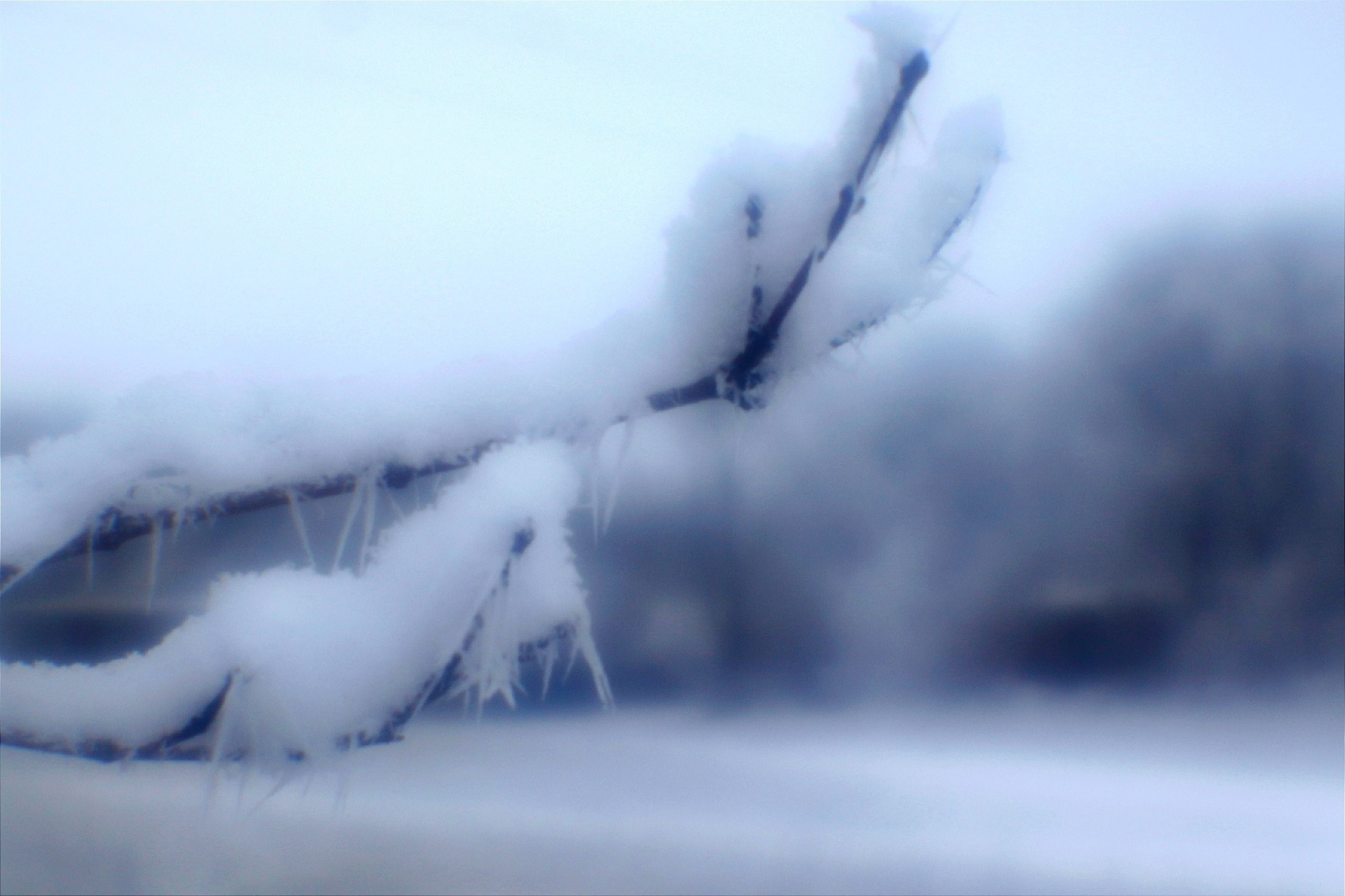 Художественное фото. Фотолаборатория Ваниль