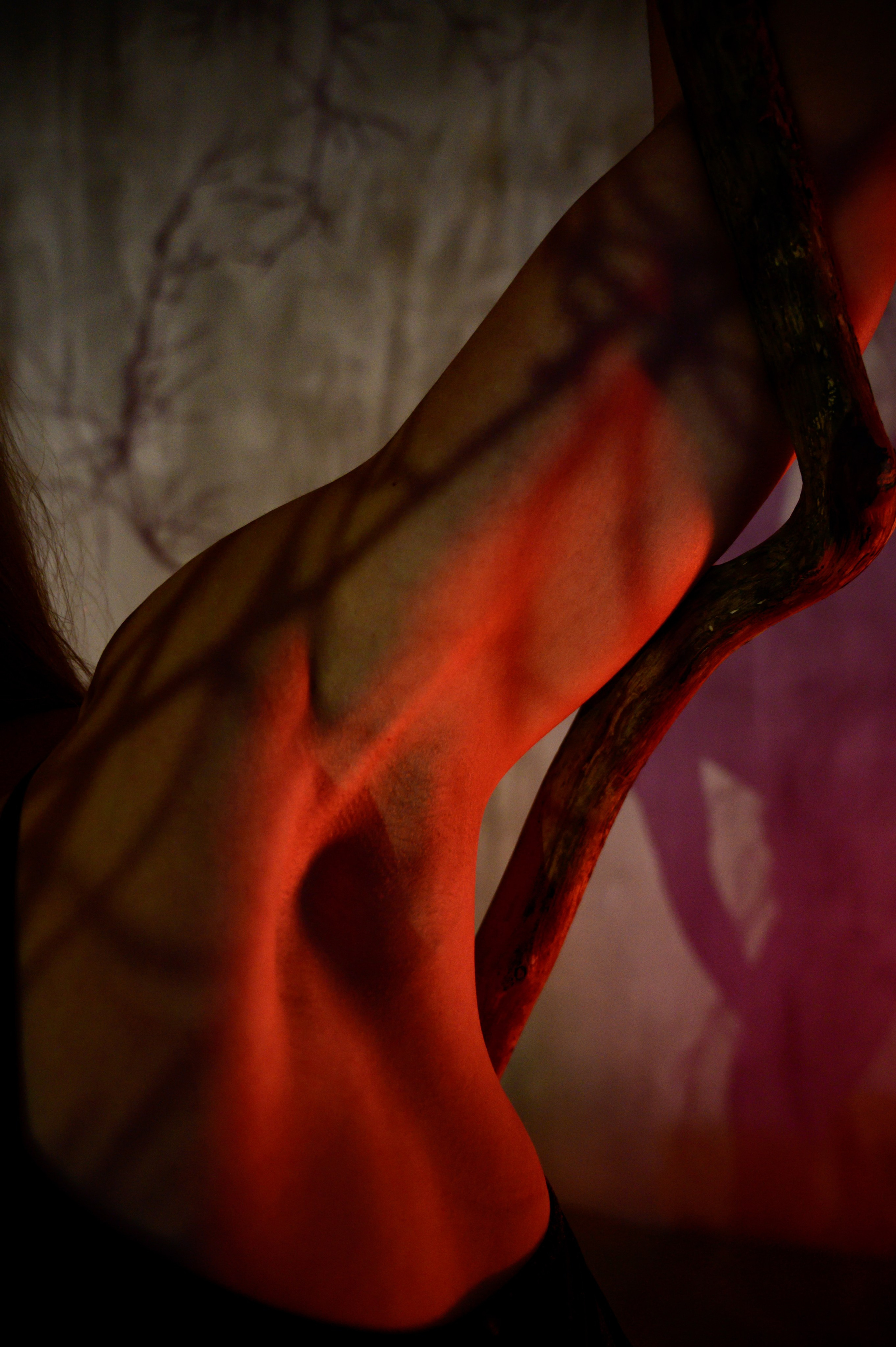 Фото проект "Женщина-стихия" представленный на выставке в Дюссельдорфе Германия июль 2025 года. Спортивный фотограф в Москве Фадеева Ирина. Соревнования, турниры, чемпионаты по танцам. отчетные концерты, съемка под водой