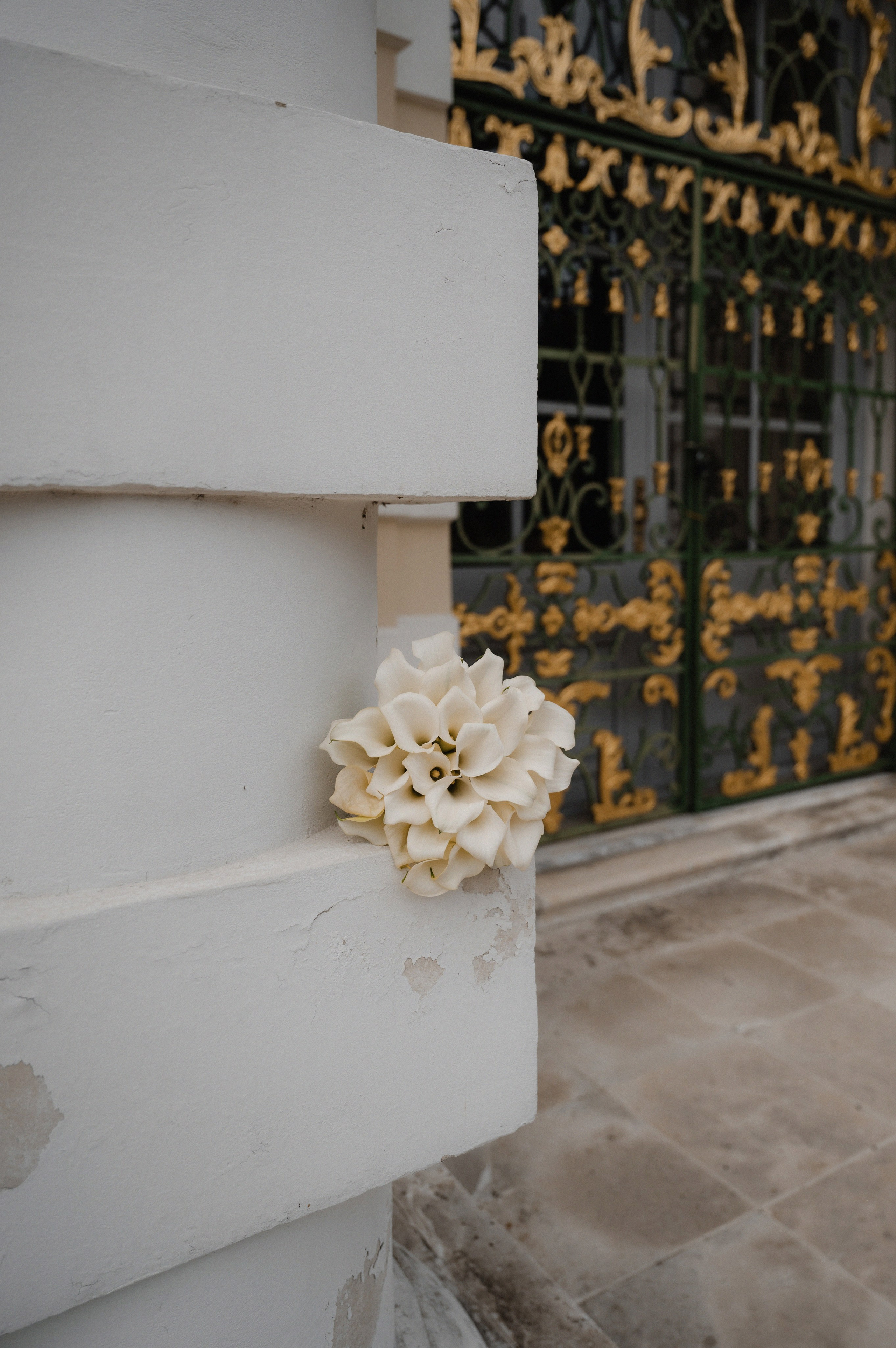 Илья и Ольга.Кусково. Свадебный фотограф Раменское-Москва