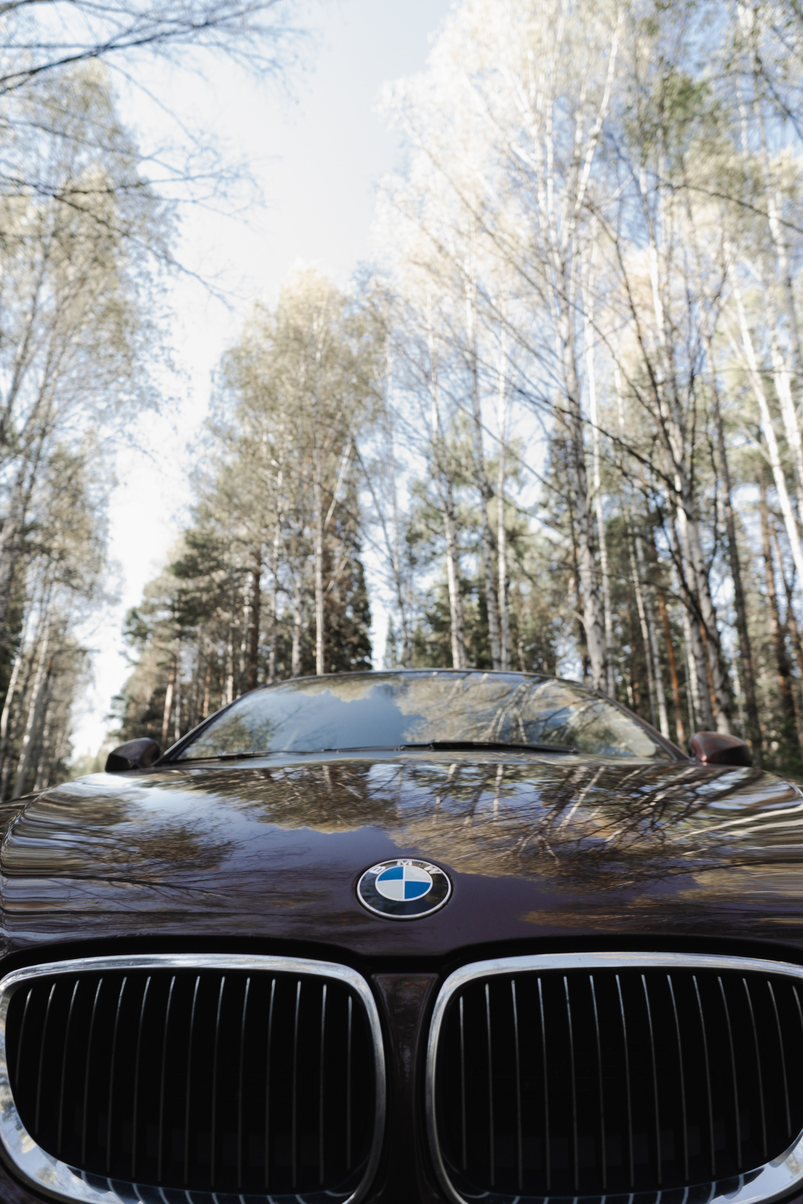 Автомобильная. Ирина Мочалова Фотограф Первоуральск/Екатеринбург