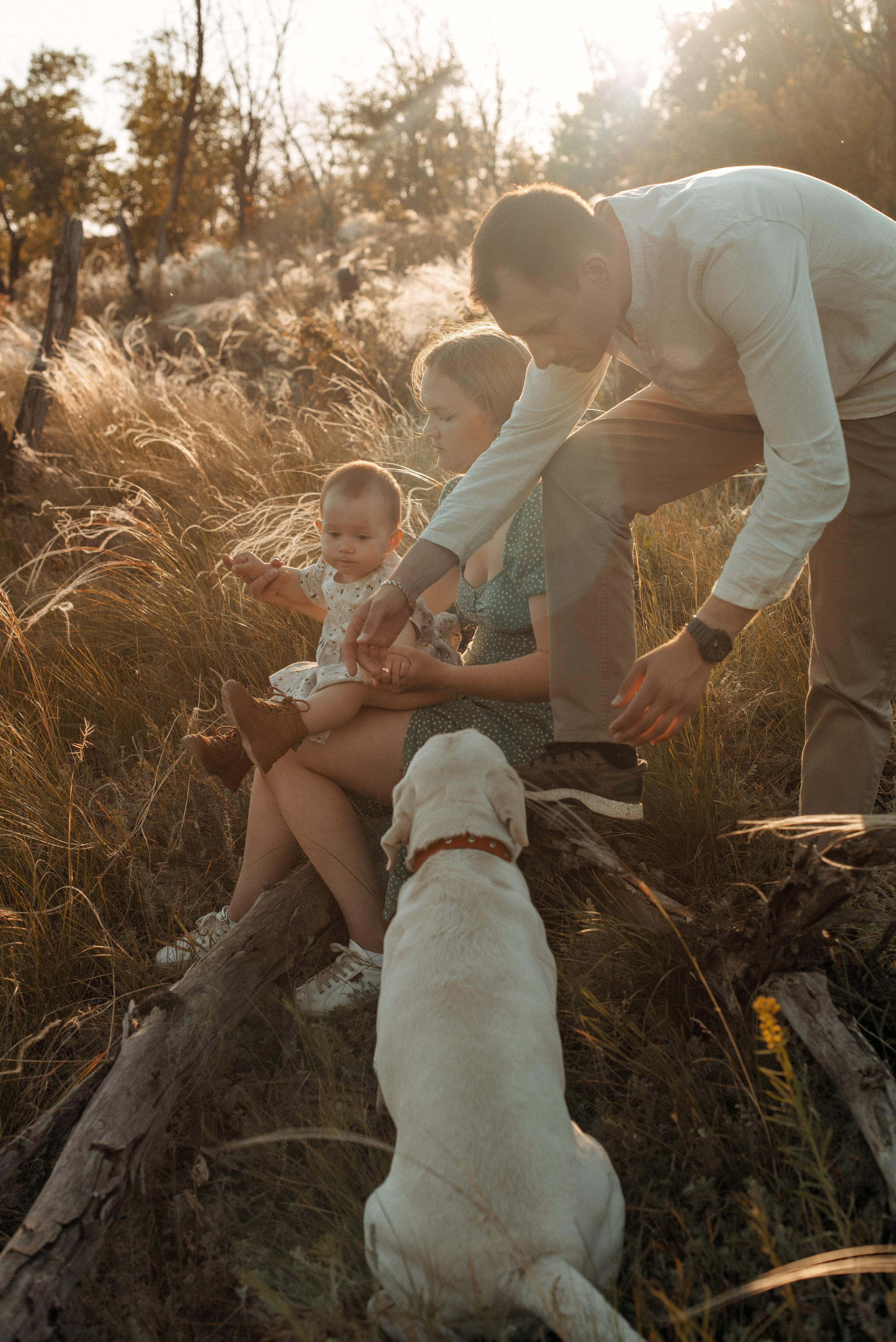 Трое в поле, не считая собаки. Семейный документальный фотограф в Волгограде Мариэта Додина