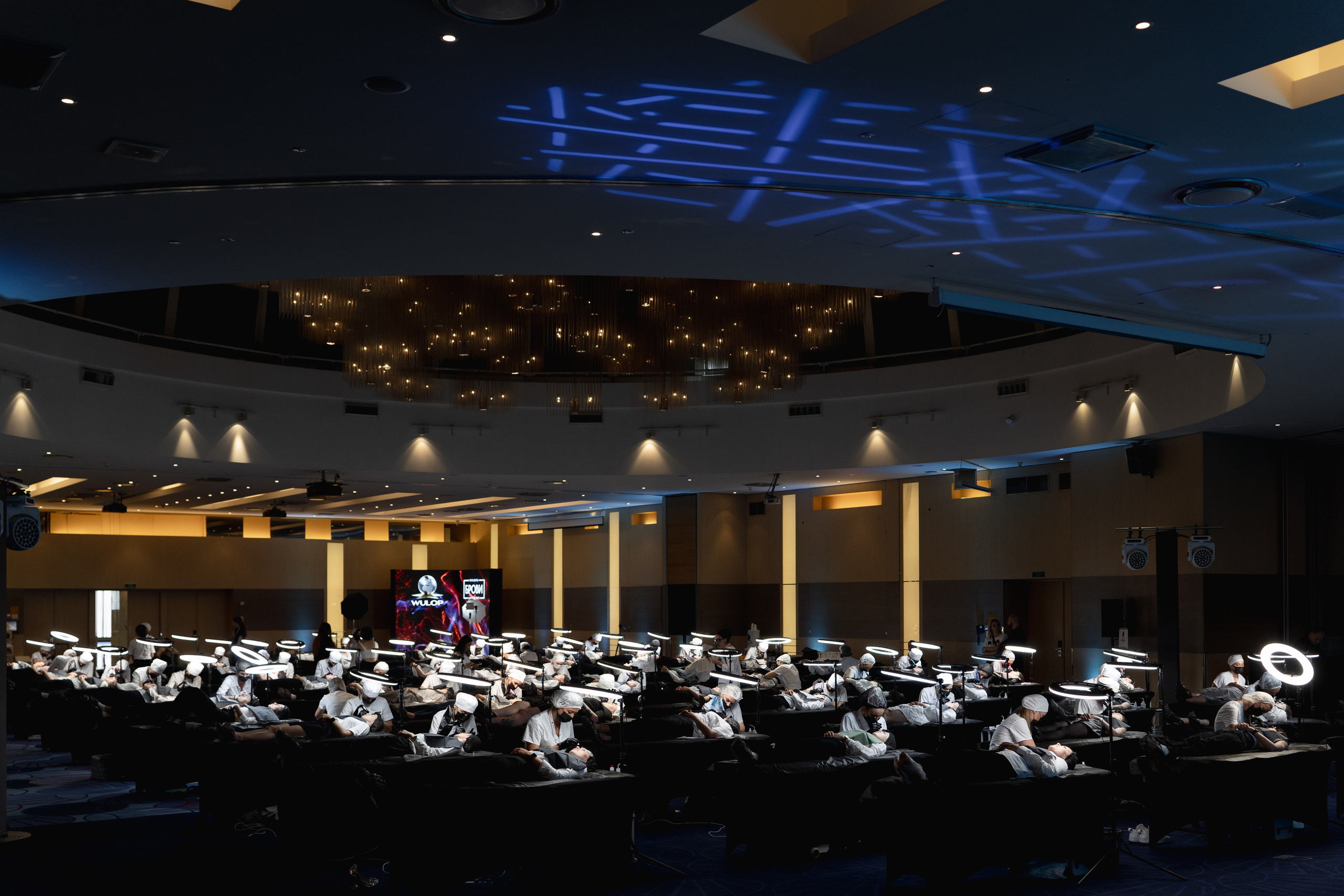 WULOP. Фотограф Макс Меш