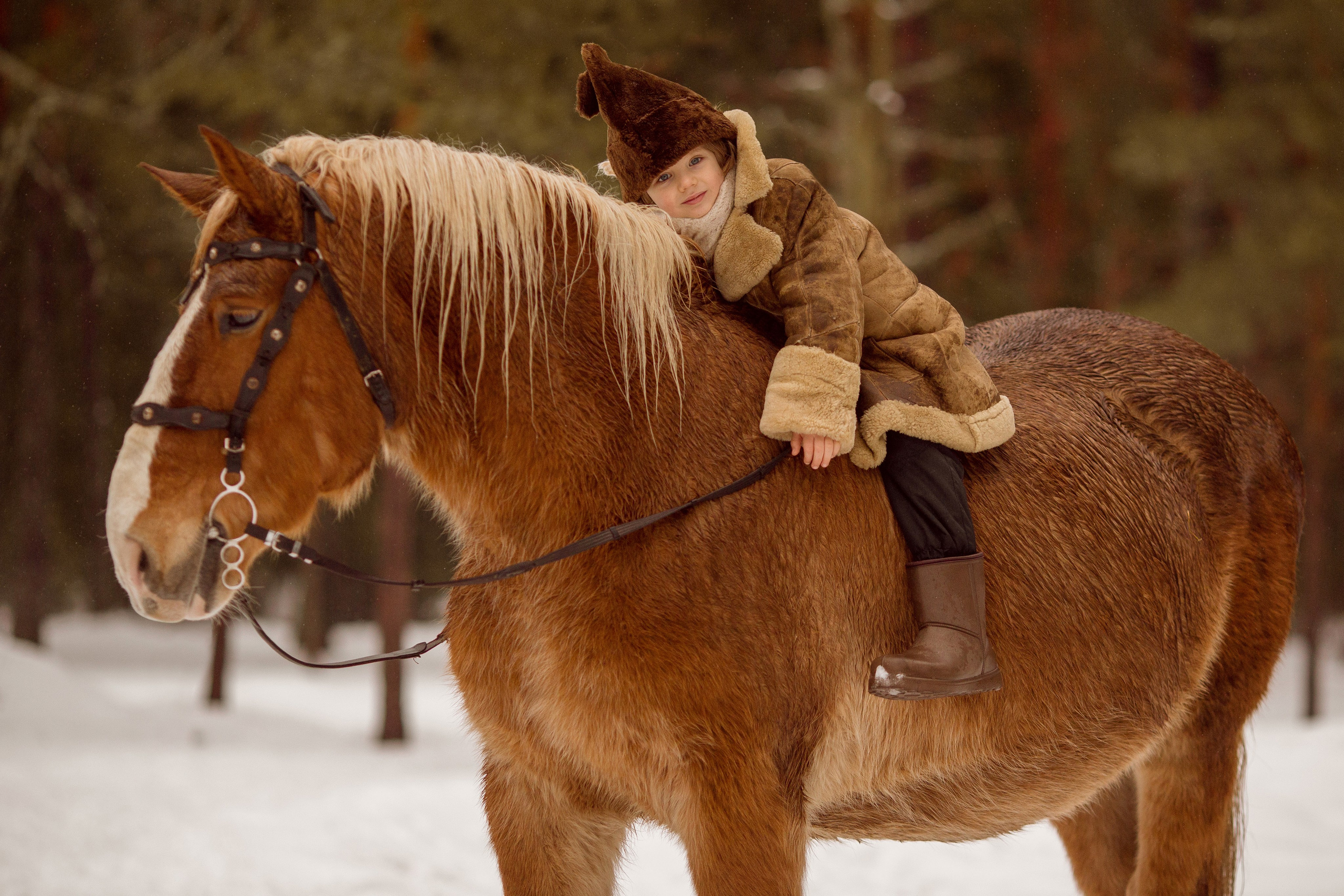 Фото мальчика и лошади зимой