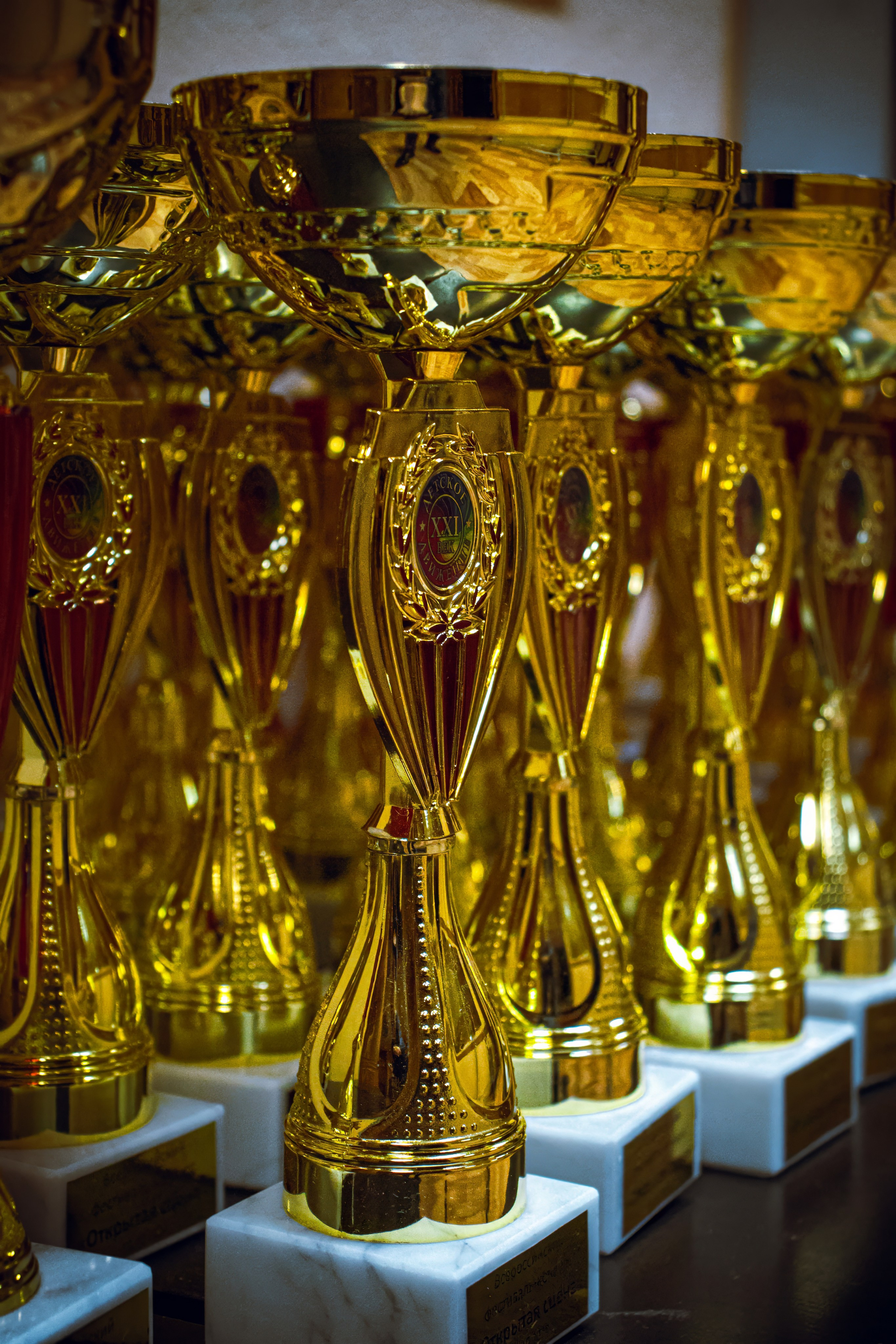 Портфолио «Спорт+»