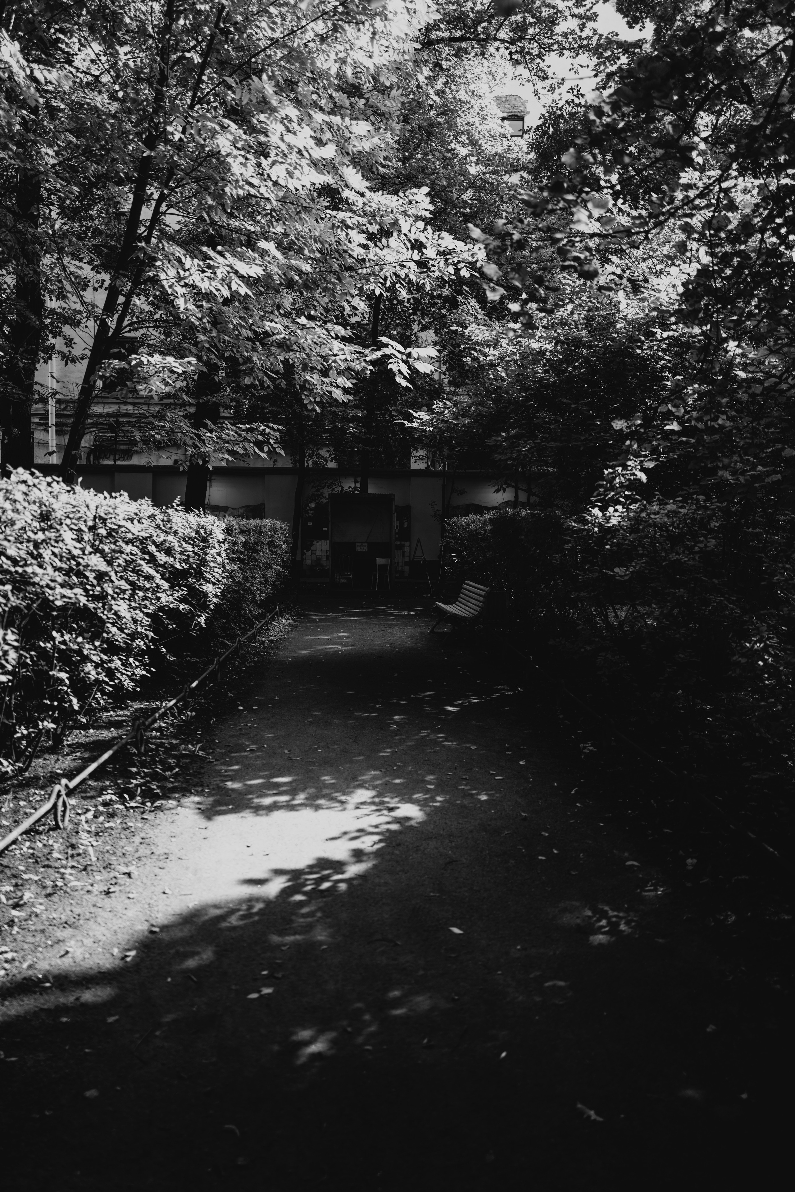 Jpg. Портретный и репортажный фотограф в Санкт-Петербурге