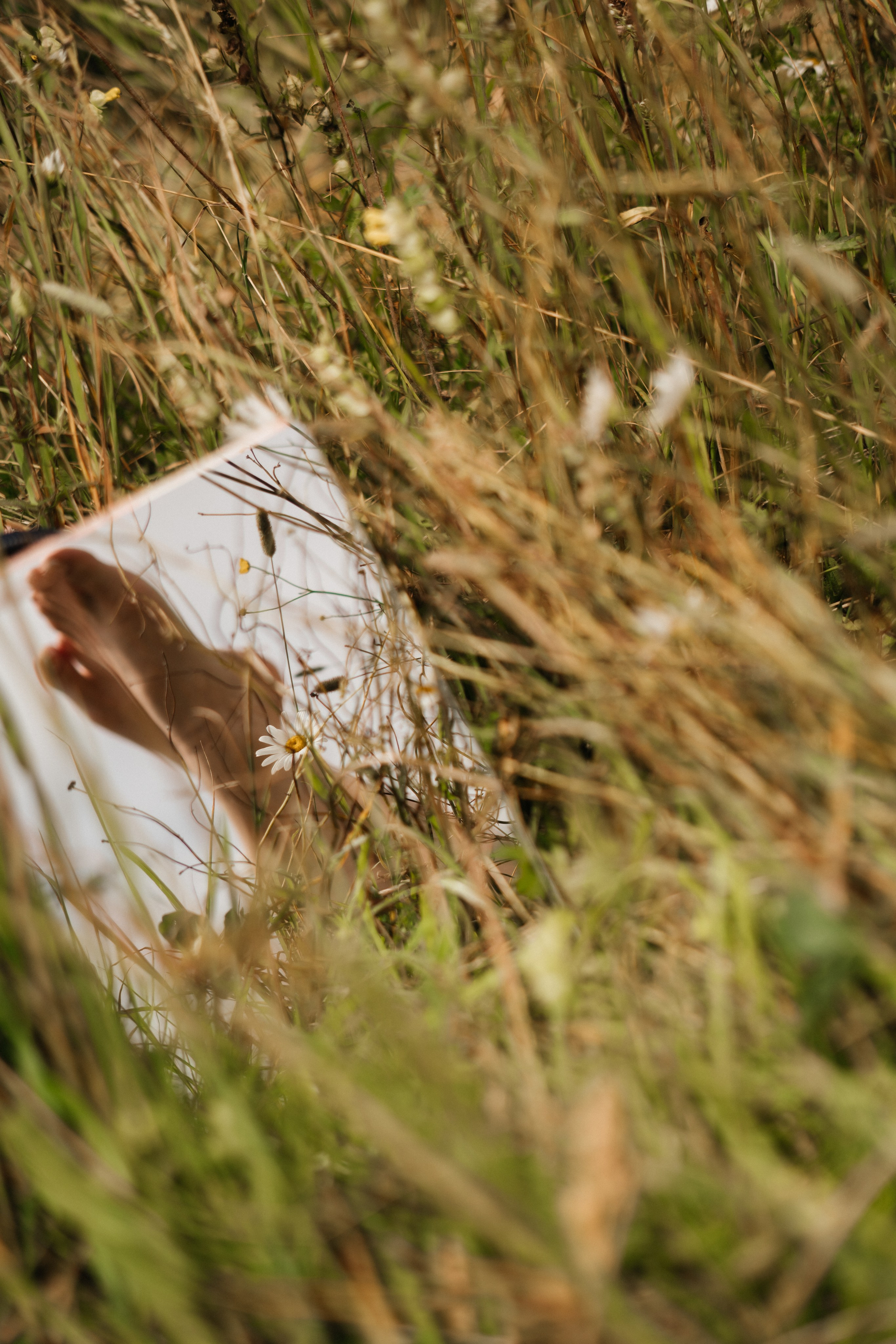 Самый красивый цветок. Фотограф сахалин