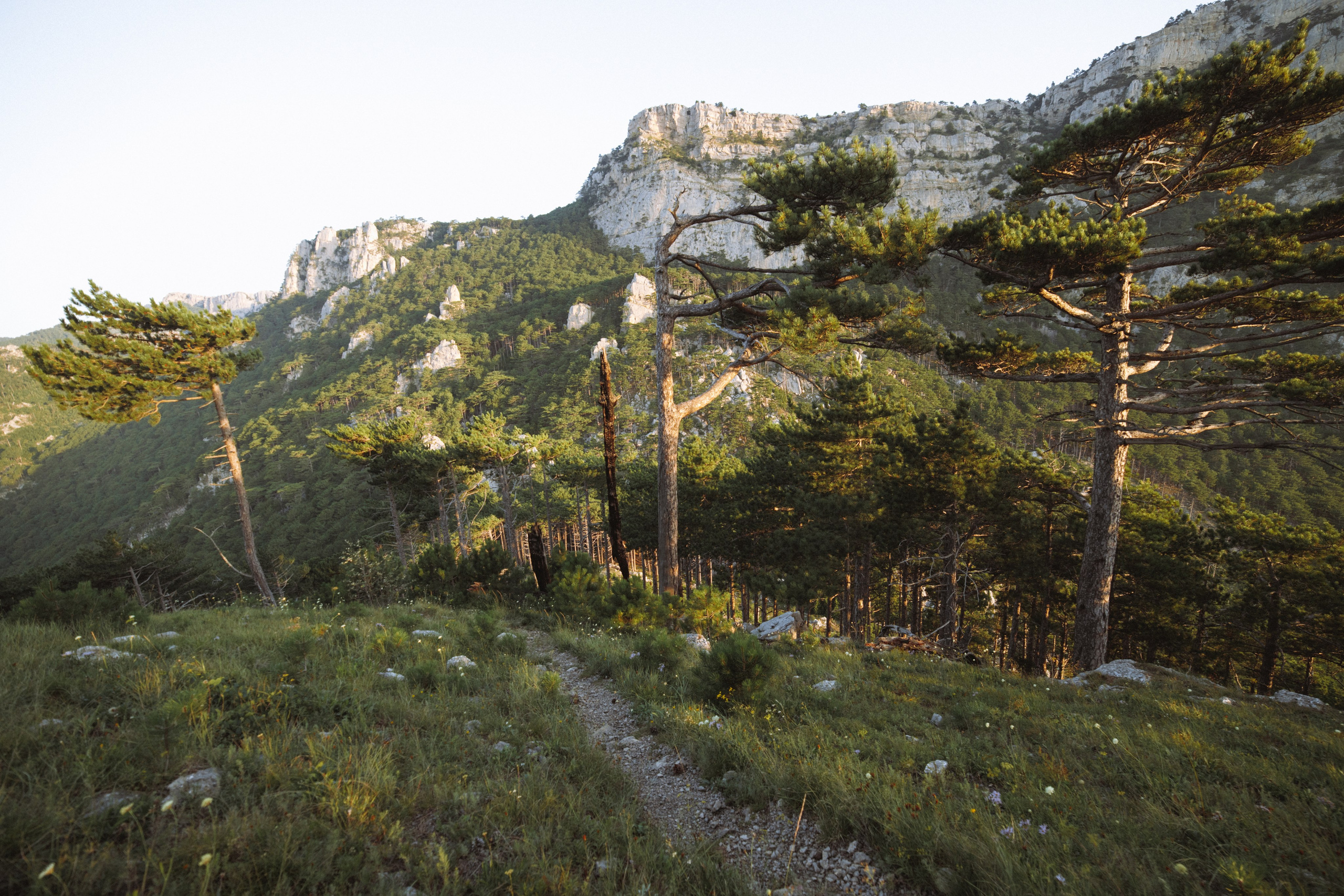 Nature. Артем Корнев Фотограф
