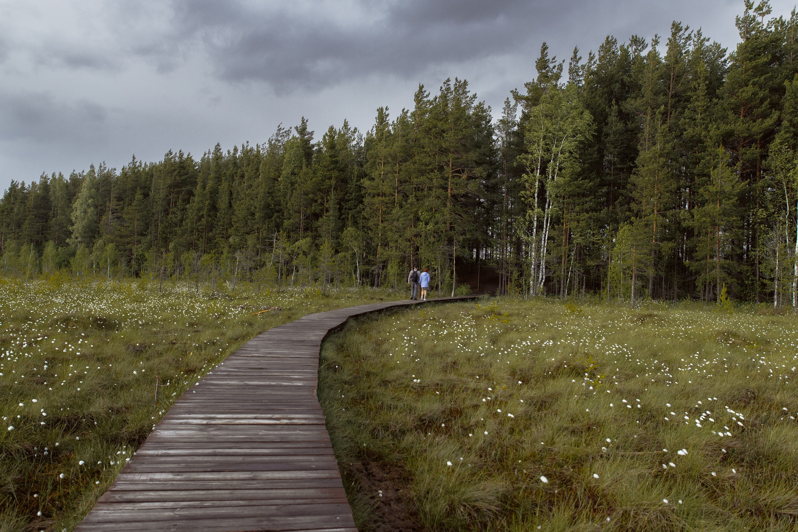 Nature. Артем Корнев Фотограф