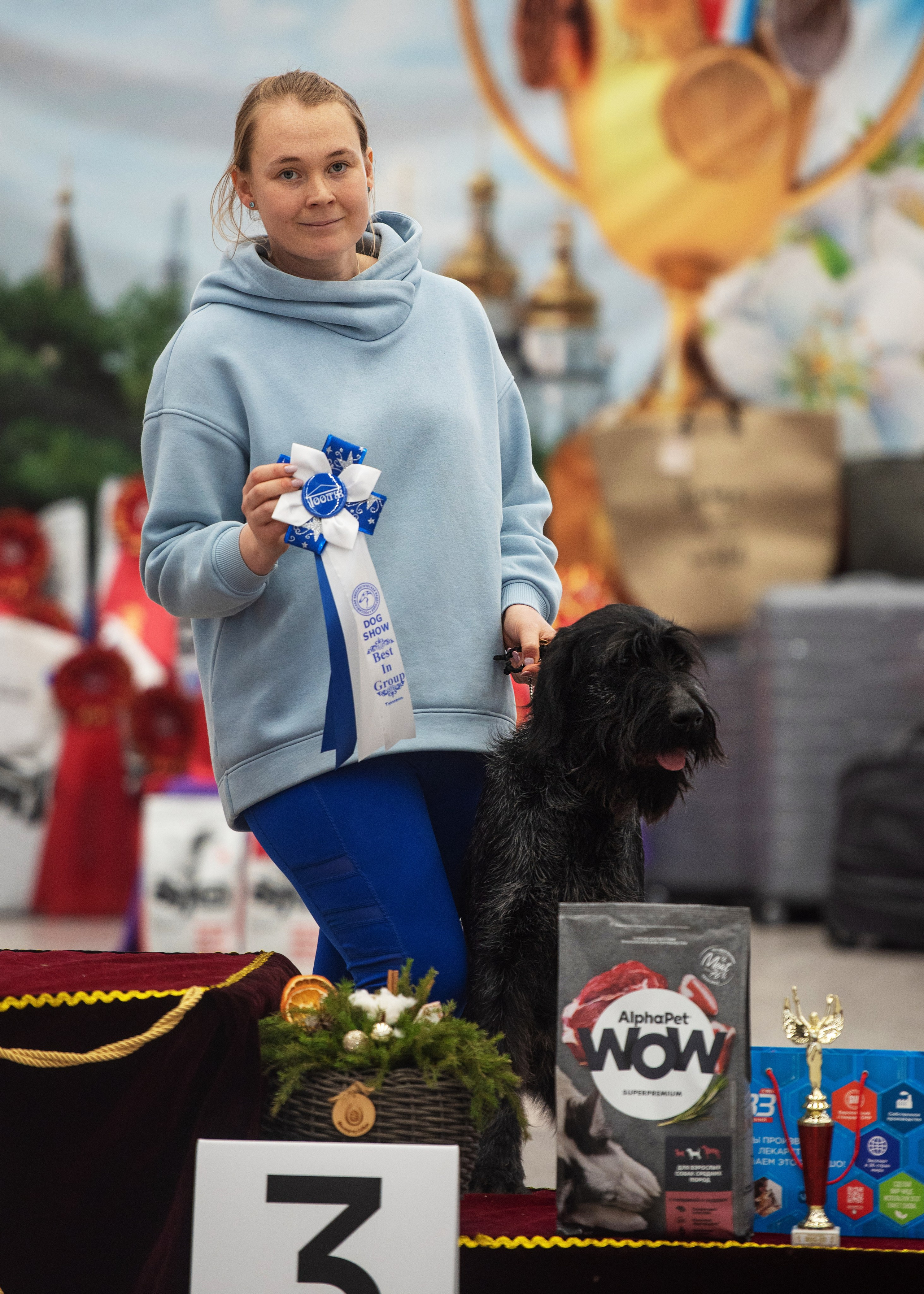 Выставки. Главная