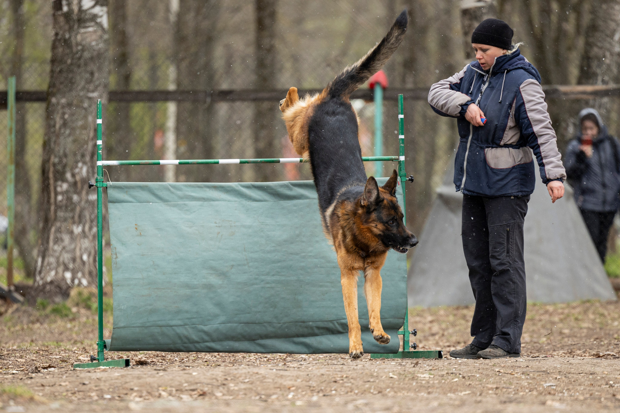Квалификационные состязания по мондьорингу г. Вологда 11.05.24. Фотограф-анималист Анна Маринич