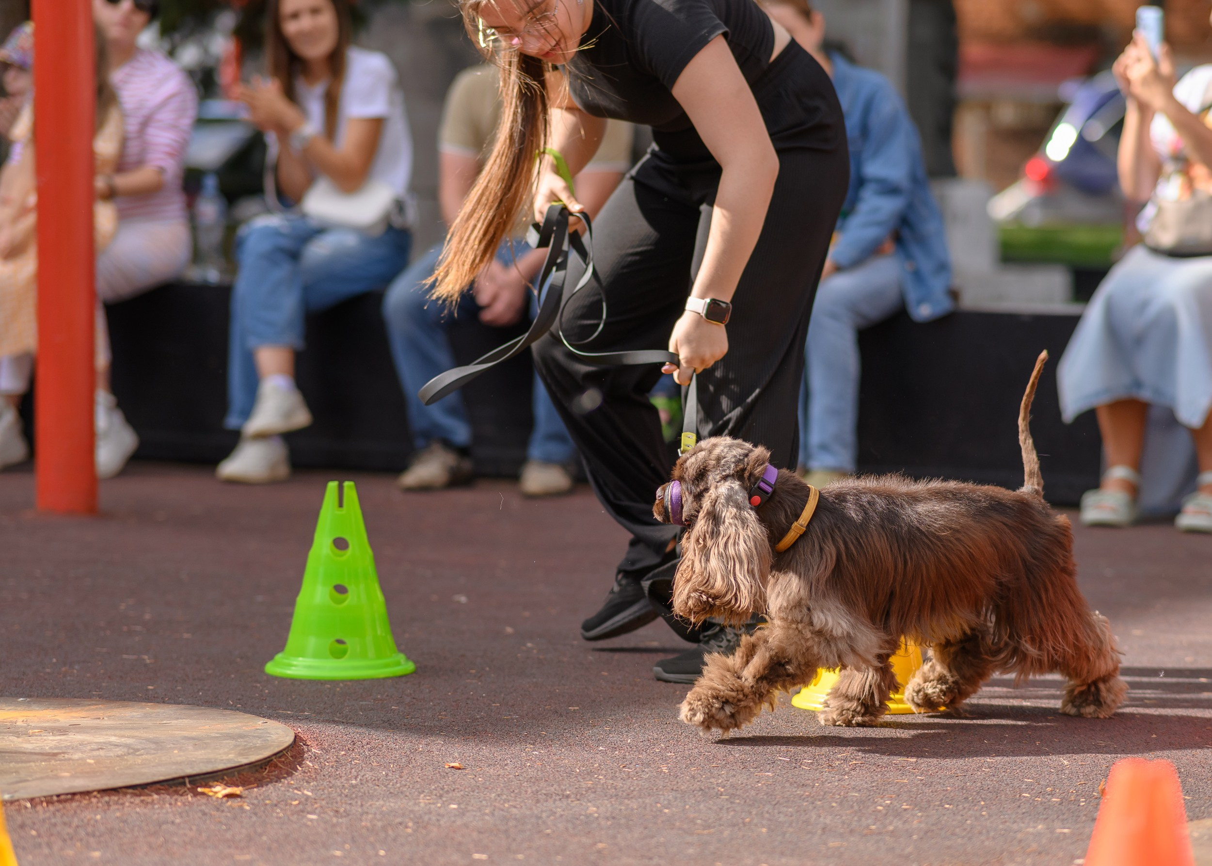 СобачийФест_РынокНаГоре_10082024. Фотограф Александр Данилов