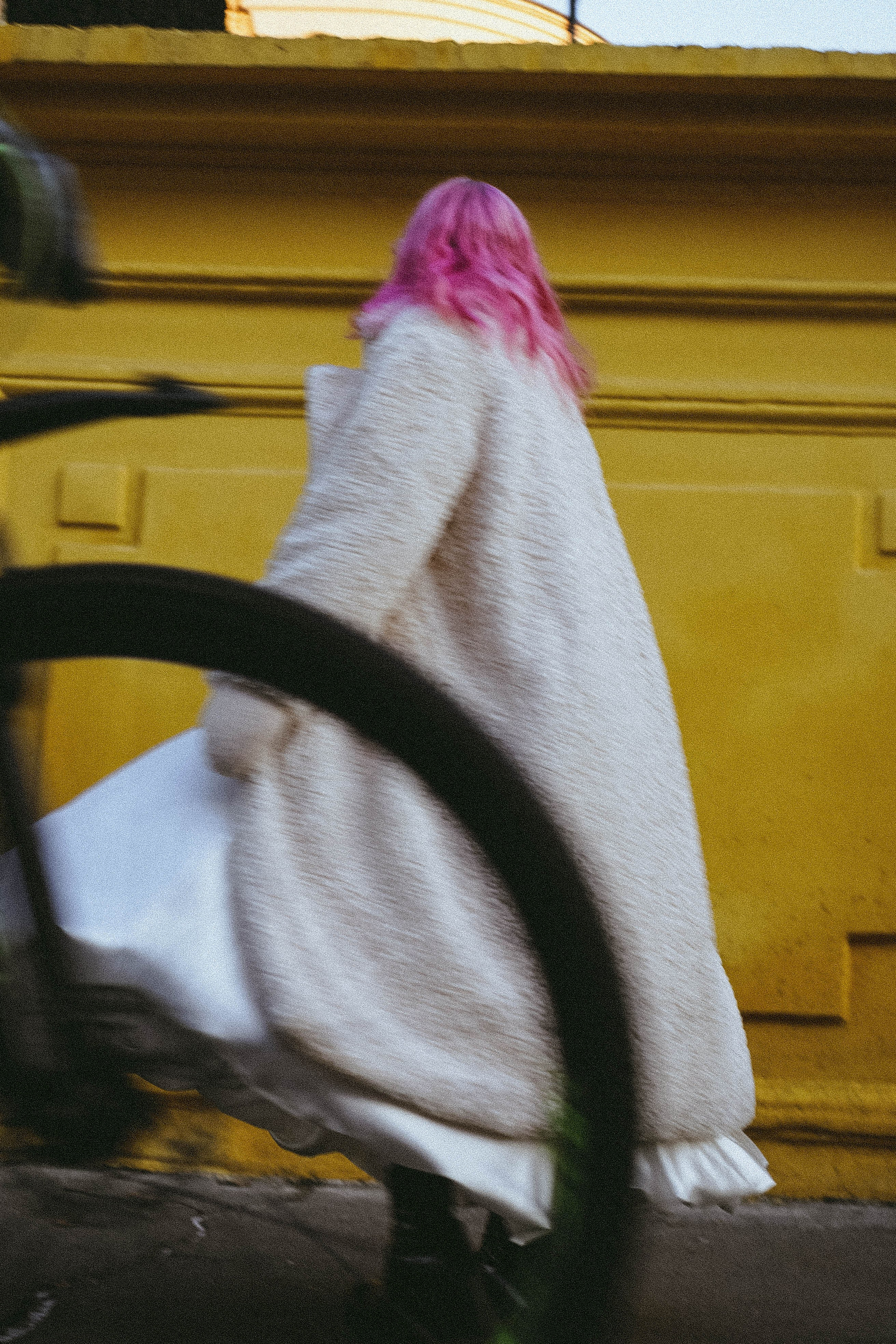 Тюльпаны. Профессиональный фотограф, Санкт-Петербург — Виктория Богомолова