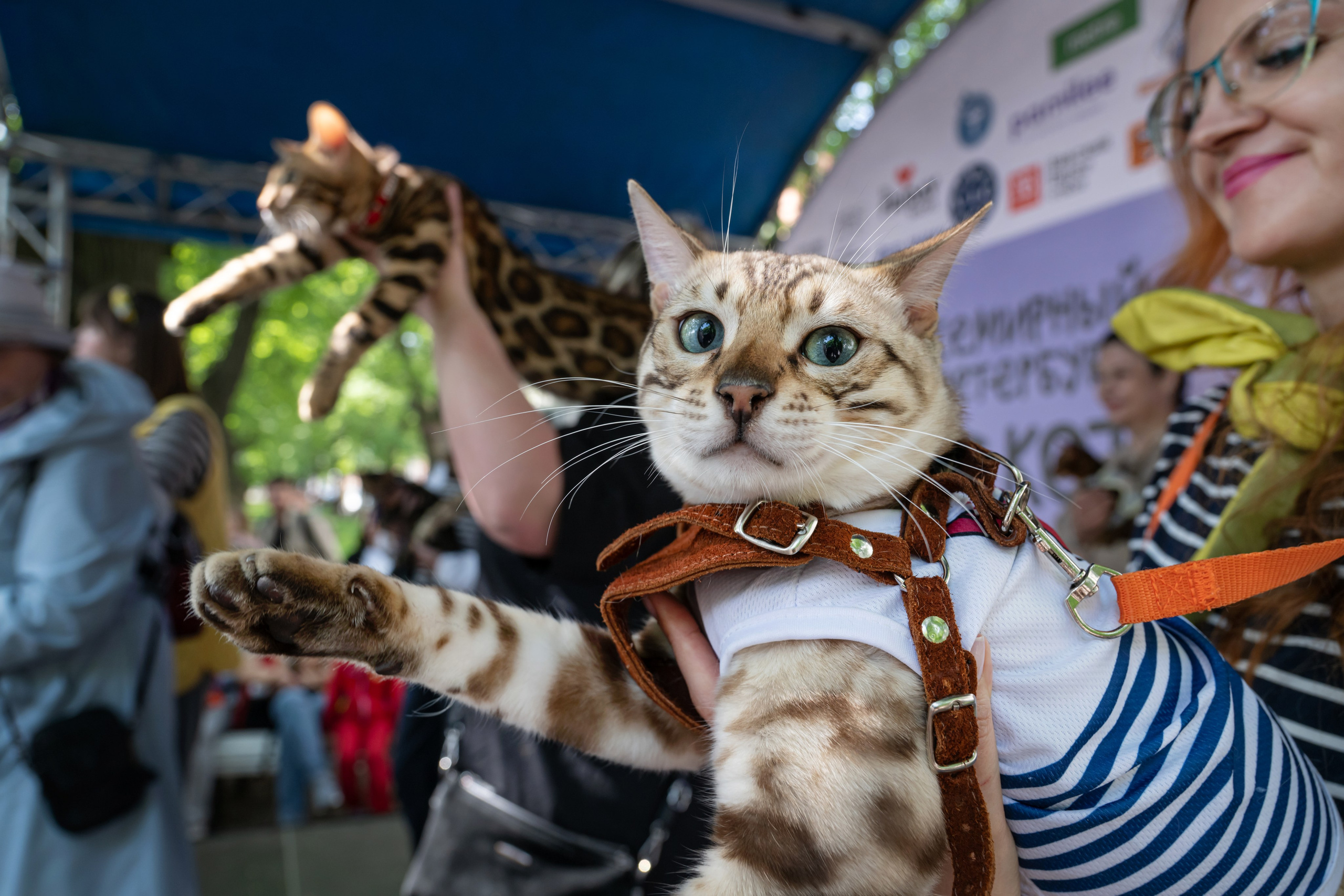 Событийный репортаж. Андрей Бок, фотограф в Санкт-Петербурге
