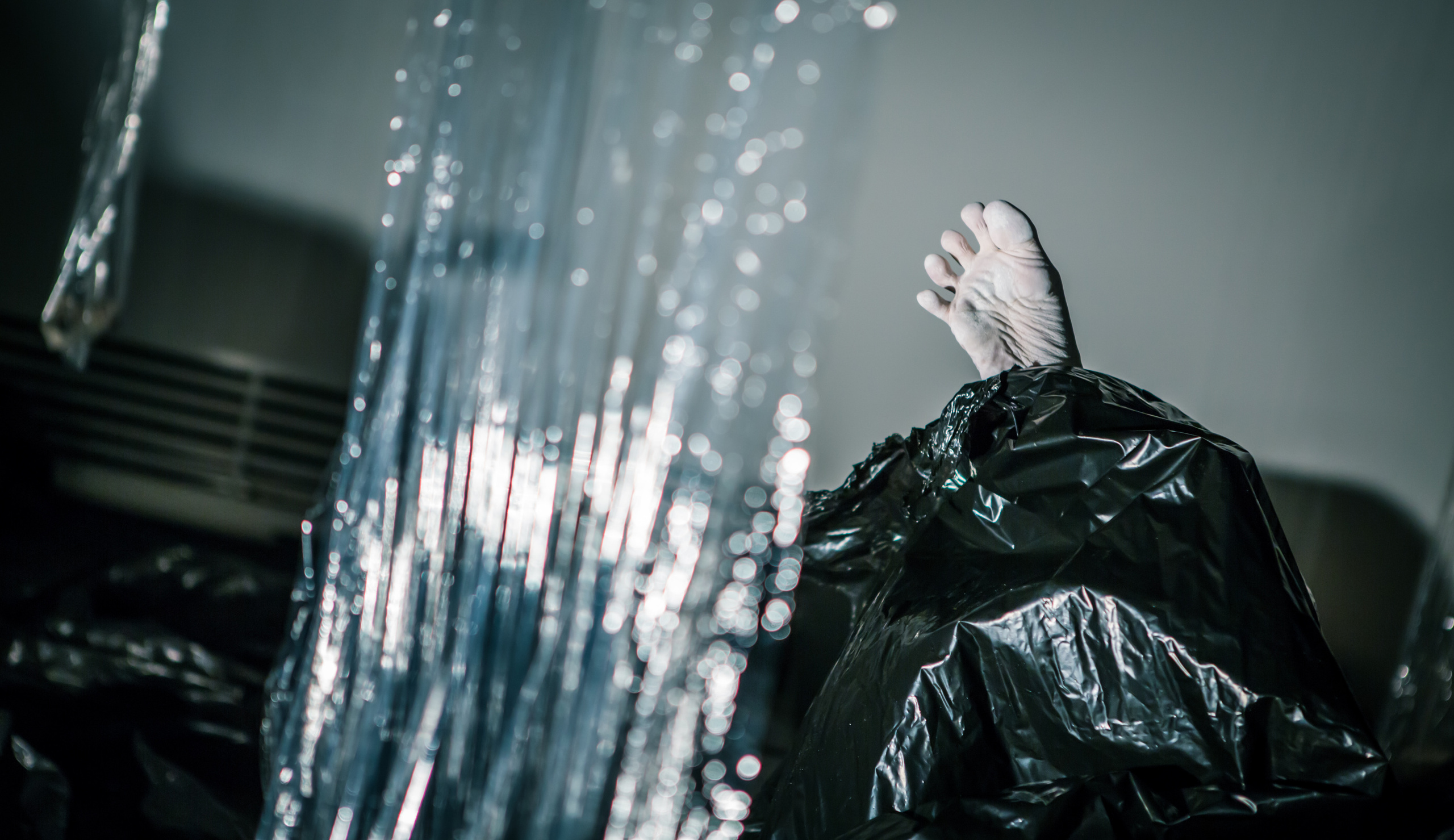 Seagull (Irina Tepluhova). Фотосъемка представлений, спектаклей и перформансов