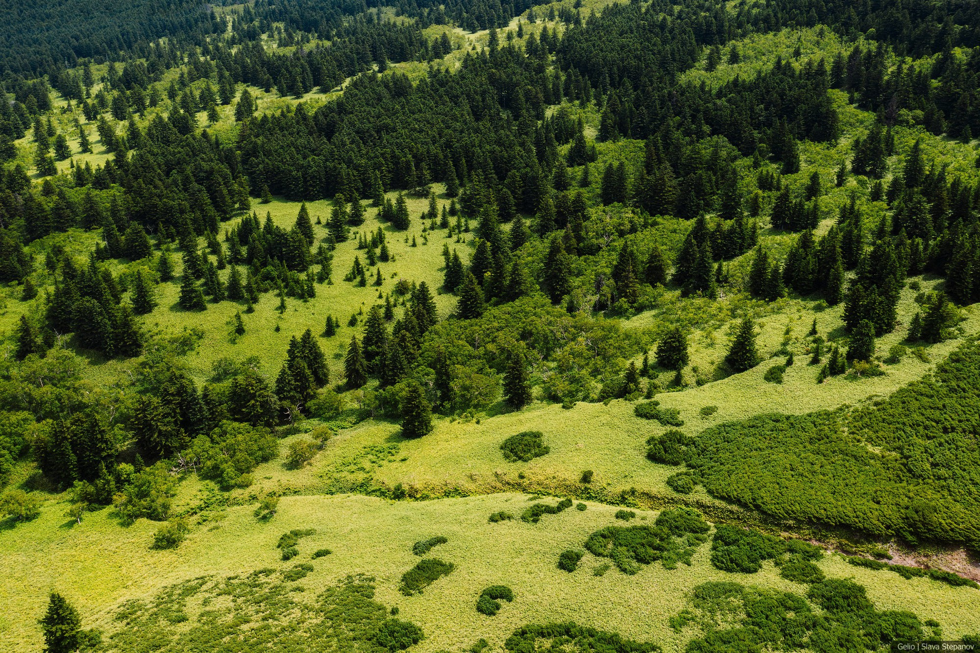 Природа. Фотограф Слава Степанов, Gelio