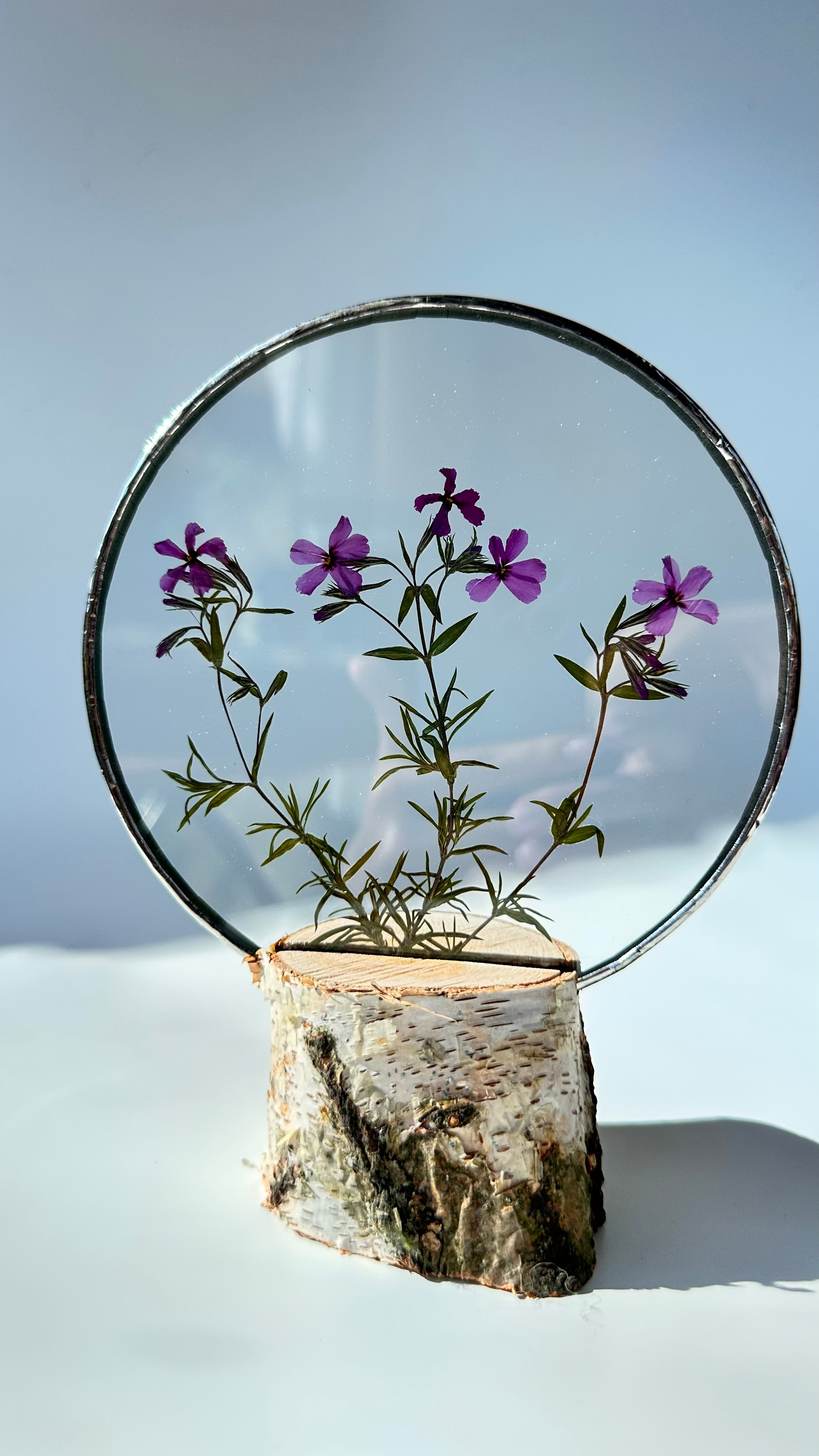 Гербарий в стекле с сухоцветами (витраж в технике тиффани в наличии и на заказ). Гербарий в стекле, интерьерные панно, витражи с сухоцветами в технике тиффани