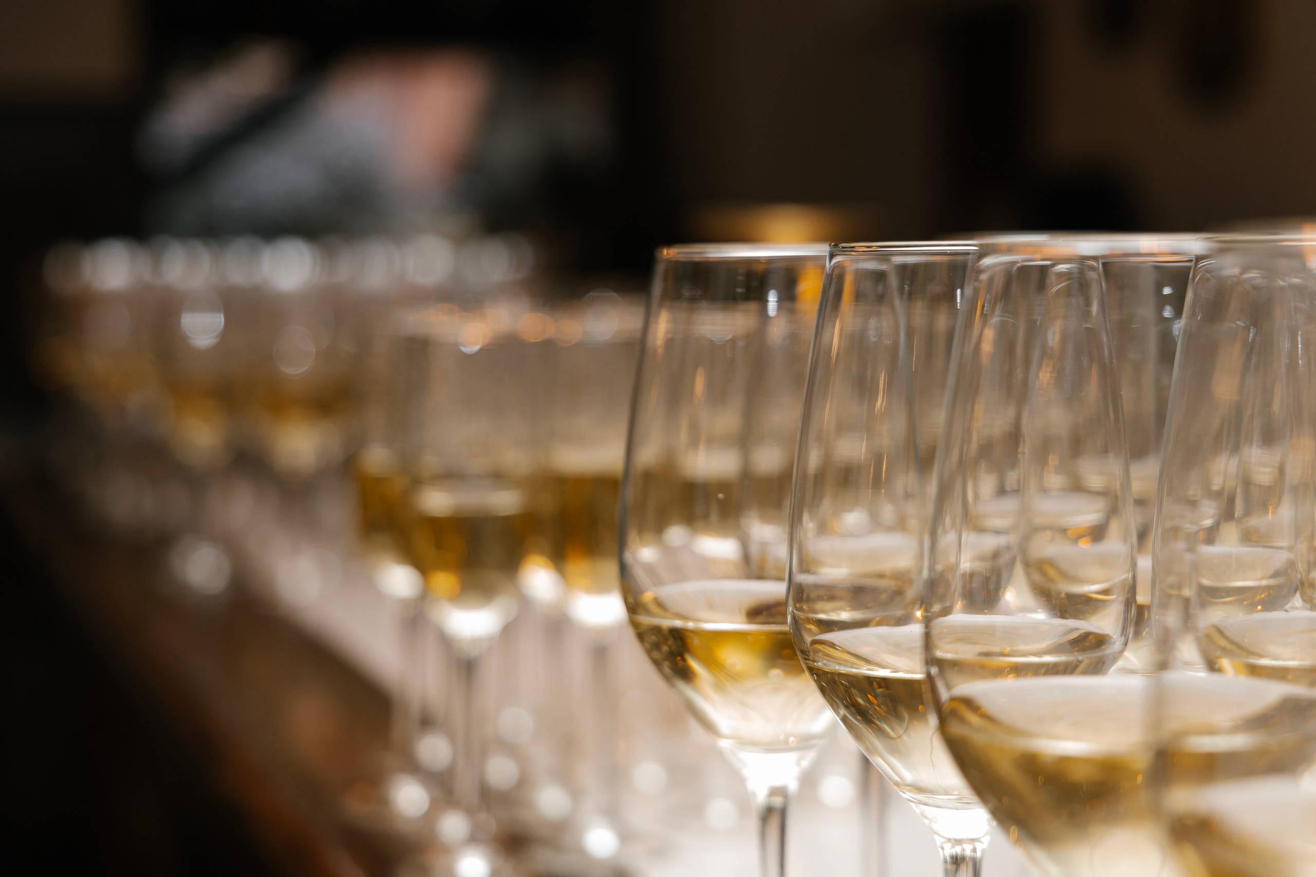 Юбилей компании. Мария Овечкина