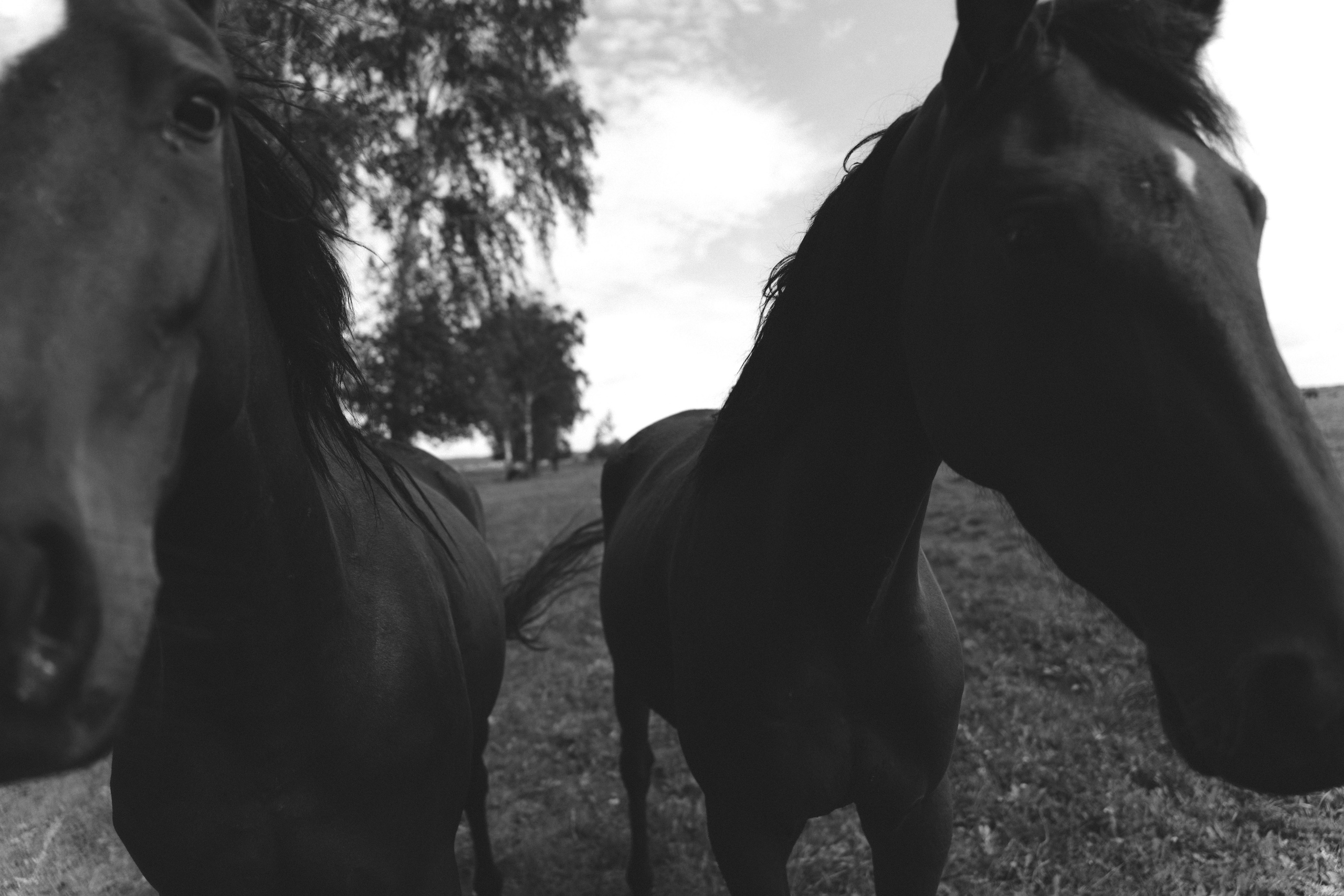 Энже Габдрахманова. Фотограф Эмилия Рахматуллина