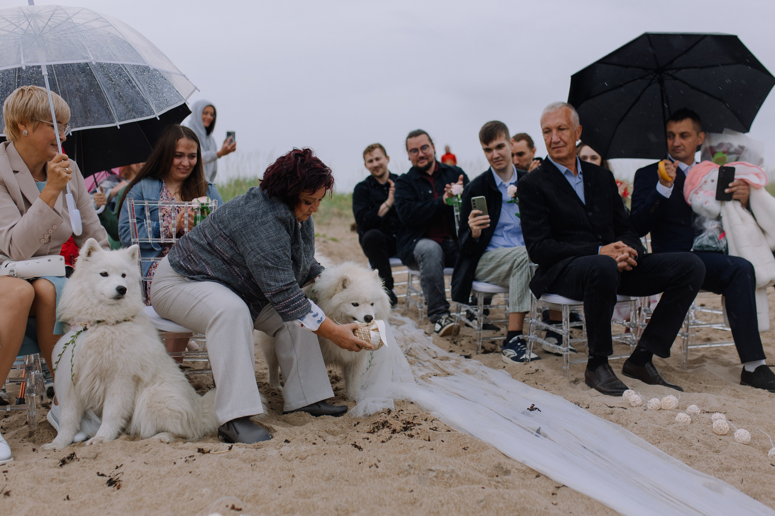 Свадьба в Териберке. Фотограф и видеограф в Мурманске, Москве Екатерина Нечаева