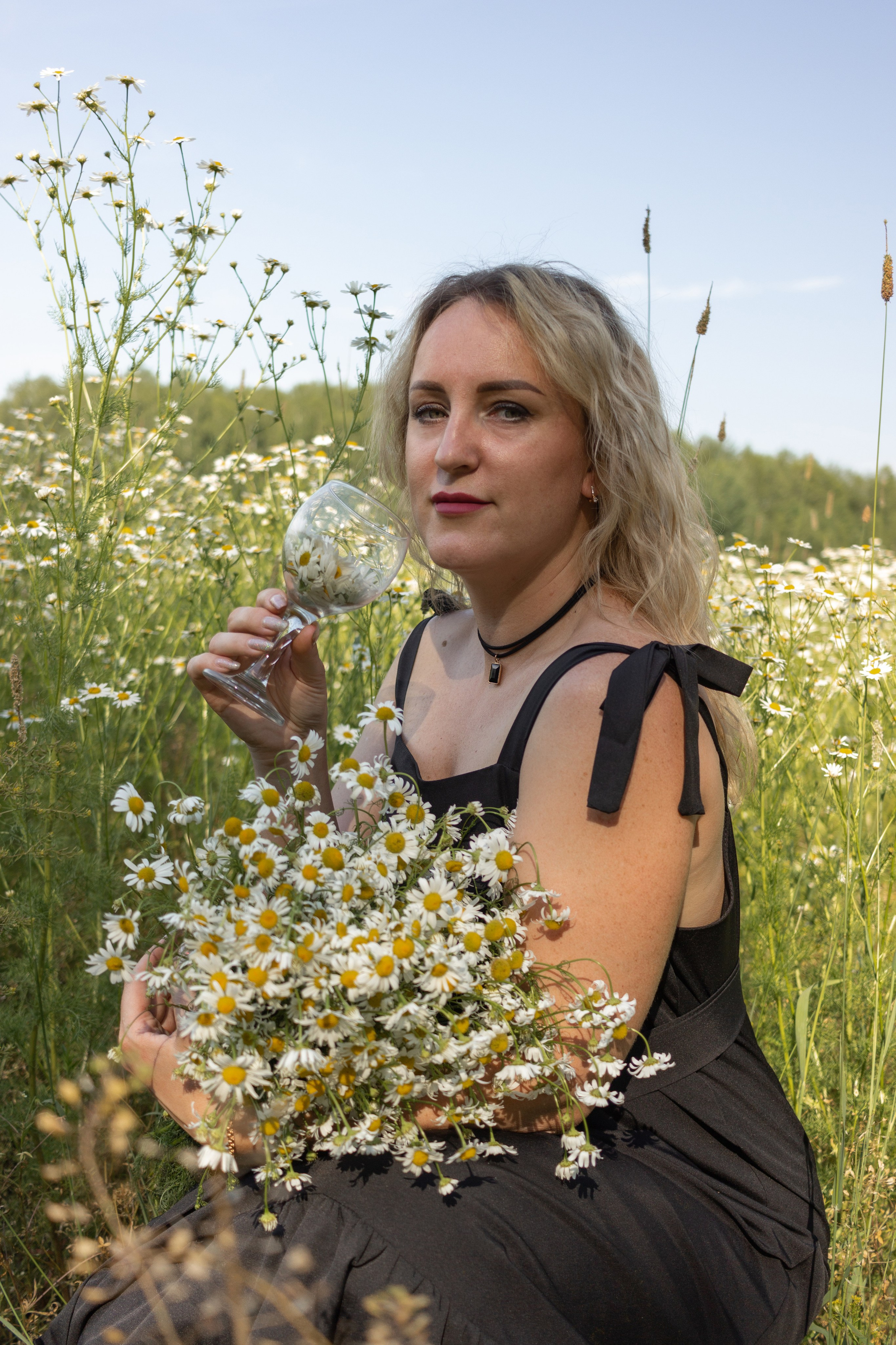 Ромашковое поле. Фотограф в Городце Розова Елена