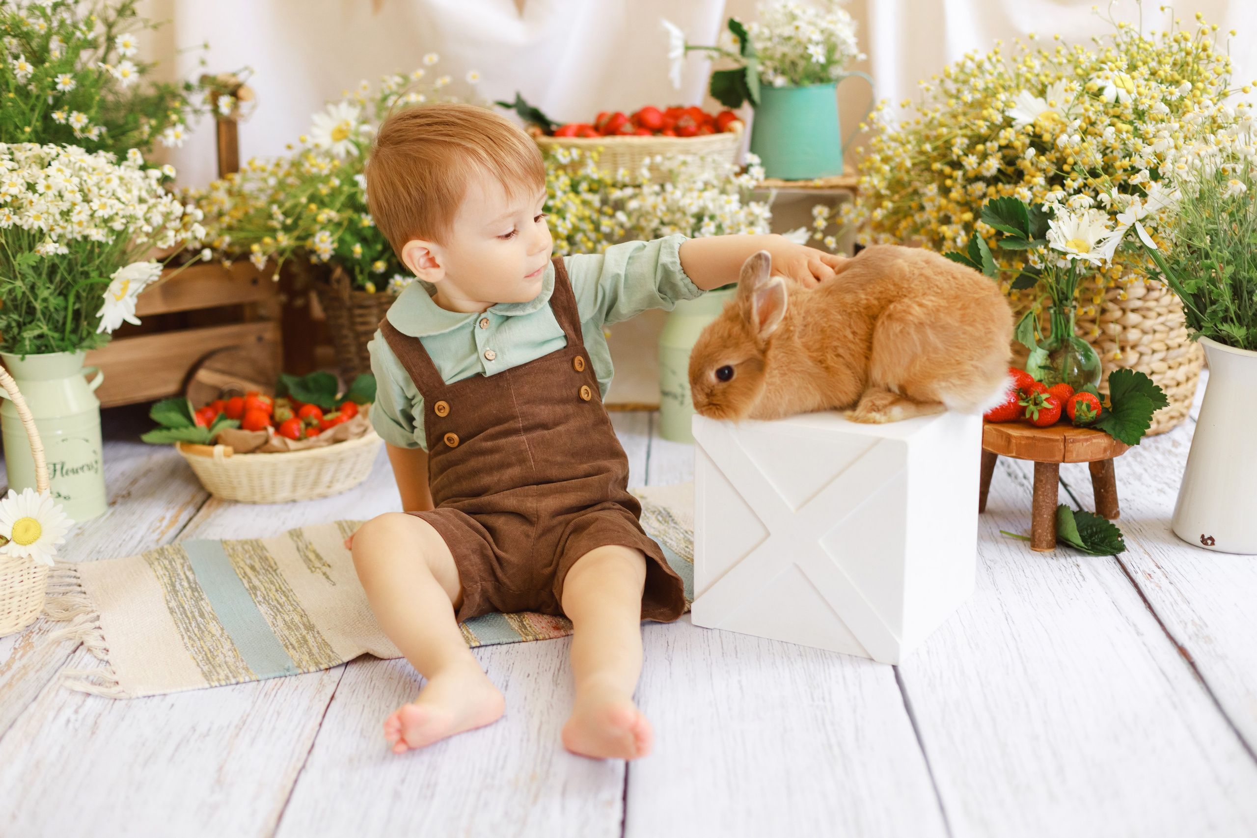 Ян и клубничка. Детский и семейный фотограф в Краснодаре Альбина Морозова