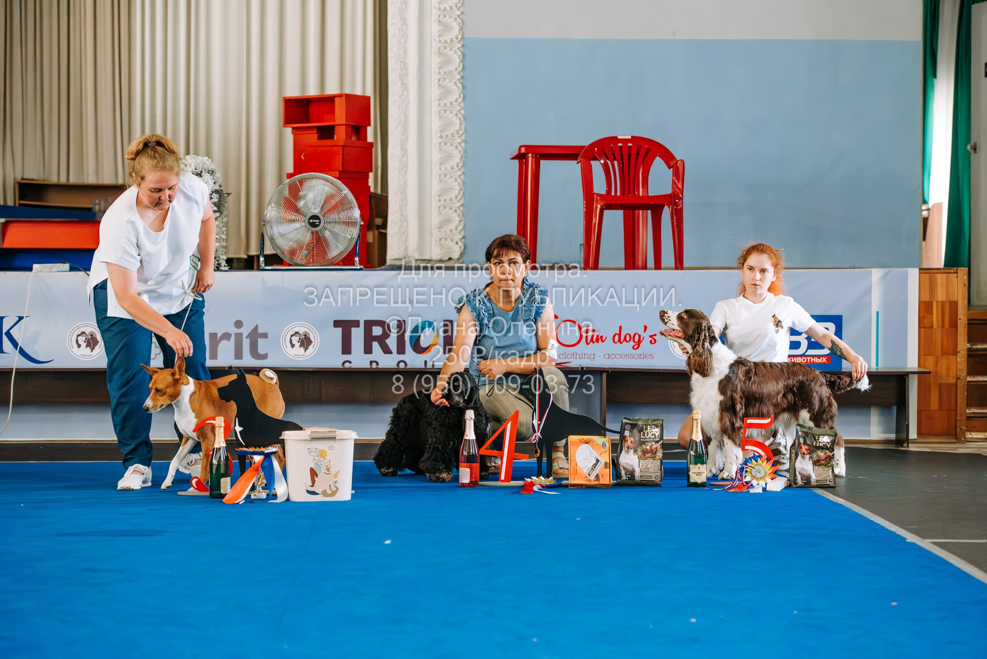 Национальная выставка собак всех пород ранга САС-IKU «Кубок Красноярск. Фотограф Диана Оленина Красноярск / Братск