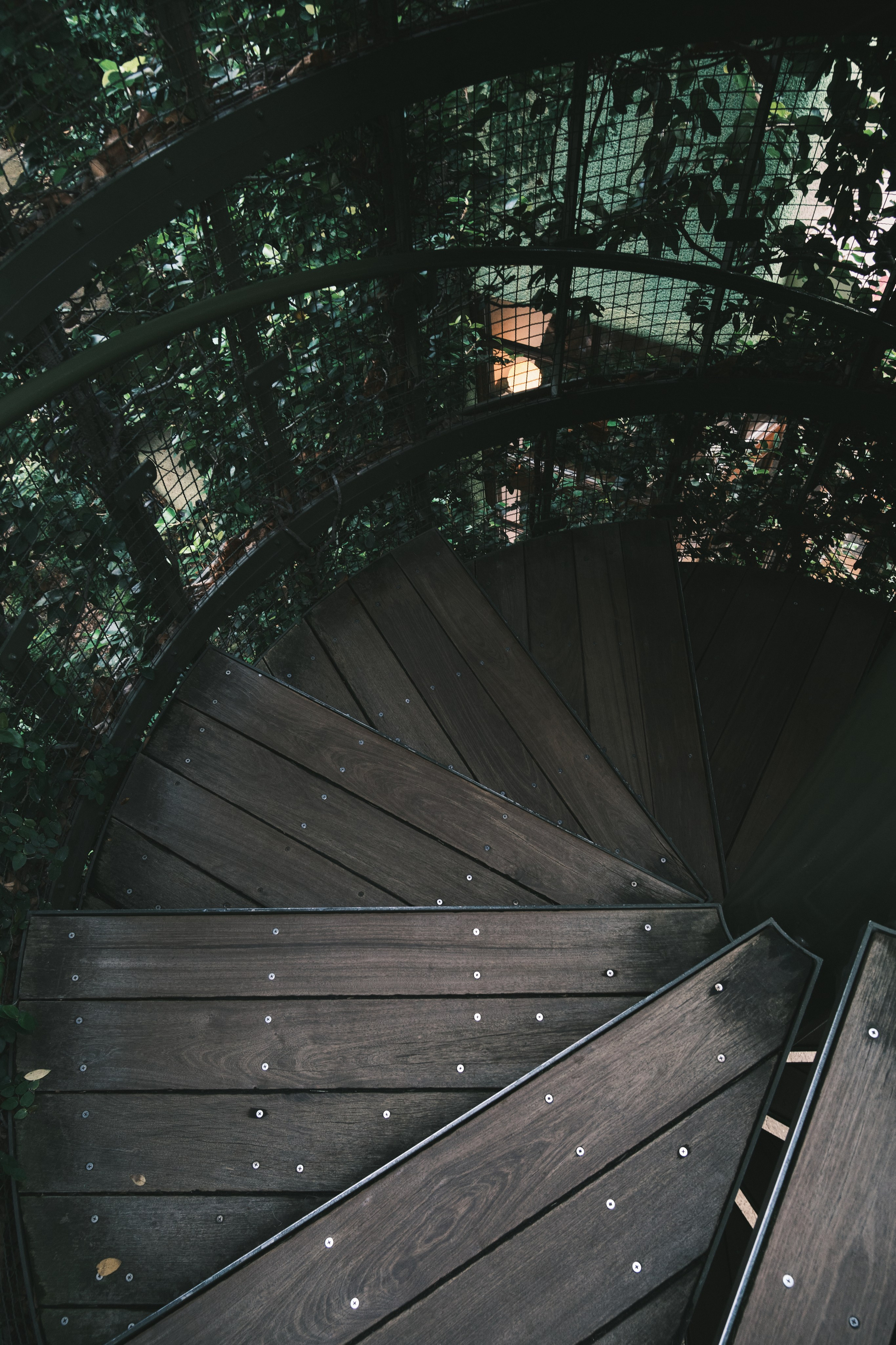 Музей, посвящённый аниме производства Studio Ghibli. Токио, Япония.