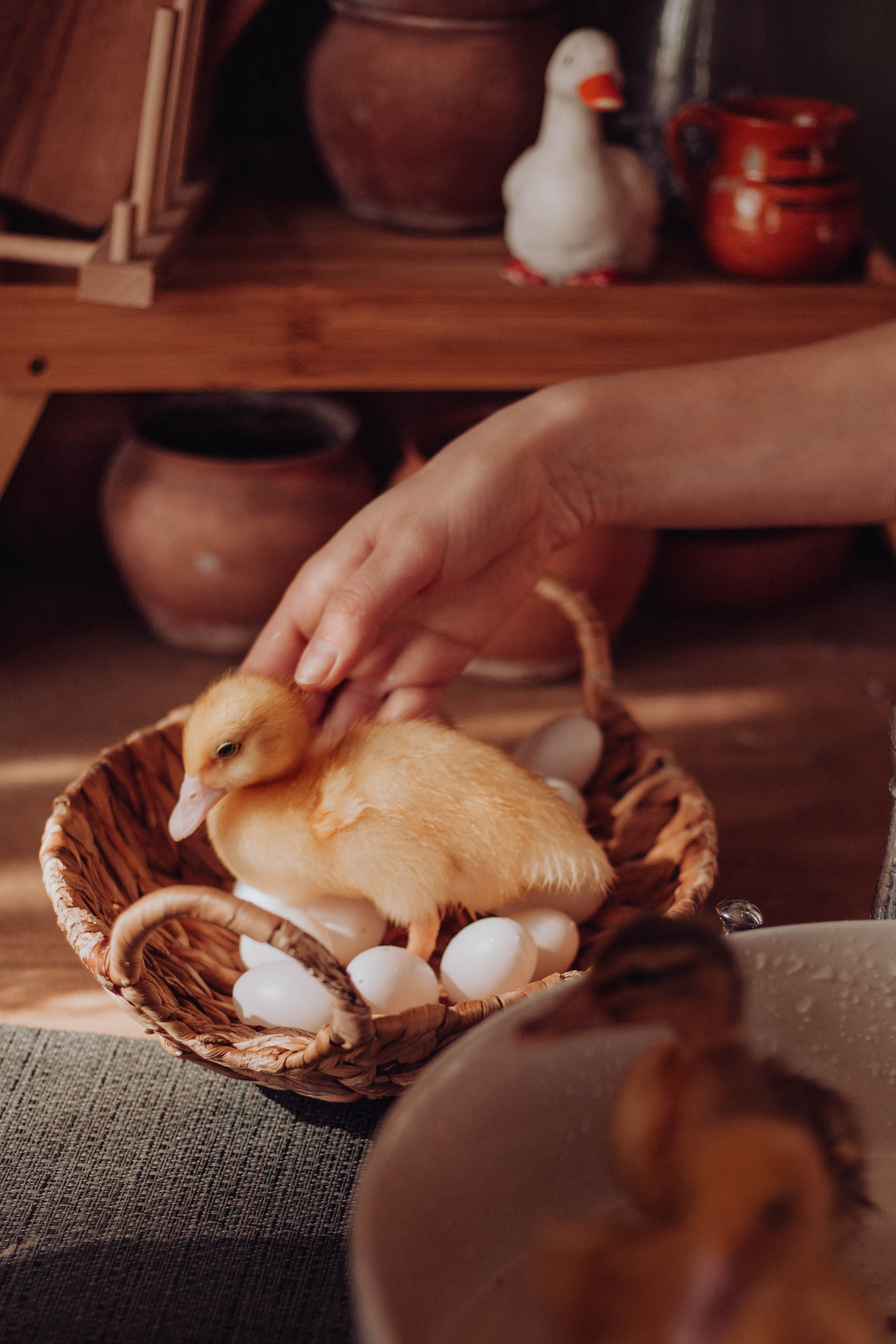 Ирина и ее мальчишки. Фотограф•Евгения Перегонцева•Тюмень•Создадим фотоисторию вместе с вами!