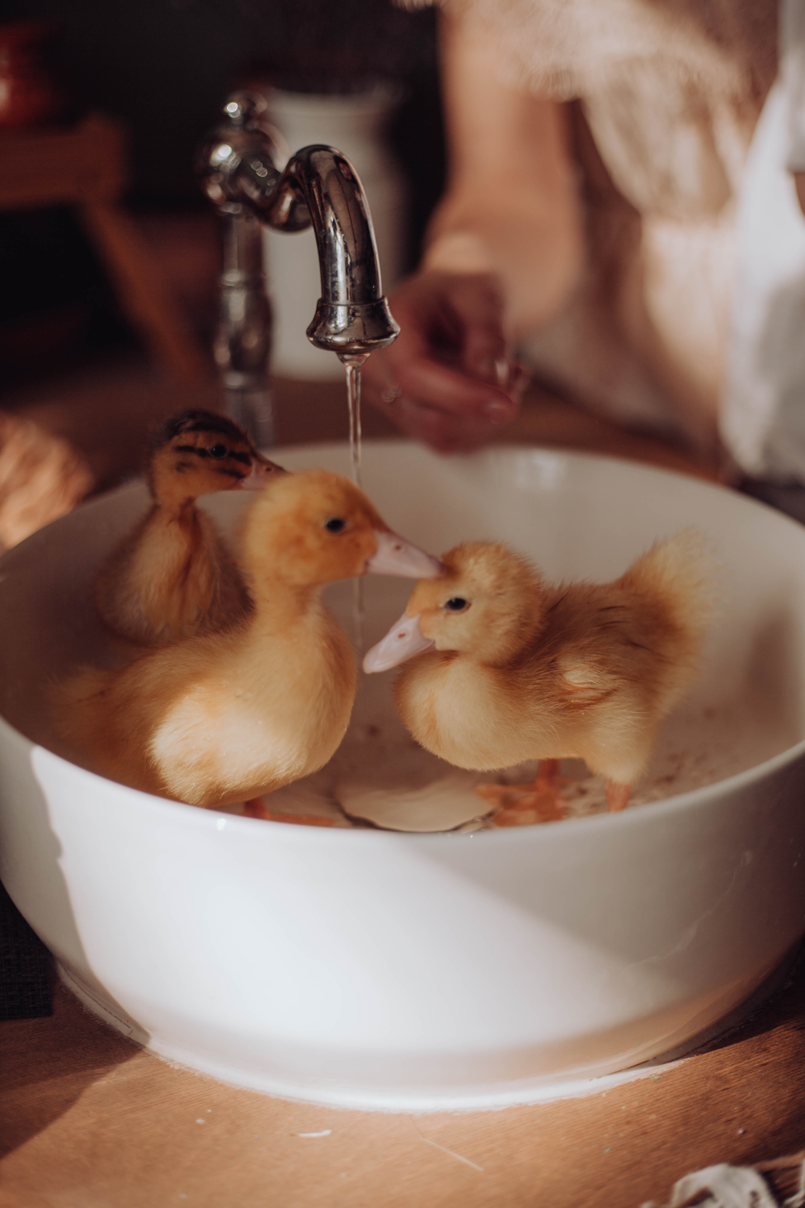 Ирина и ее мальчишки. Фотограф•Евгения Перегонцева•Тюмень•Создадим фотоисторию вместе с вами!