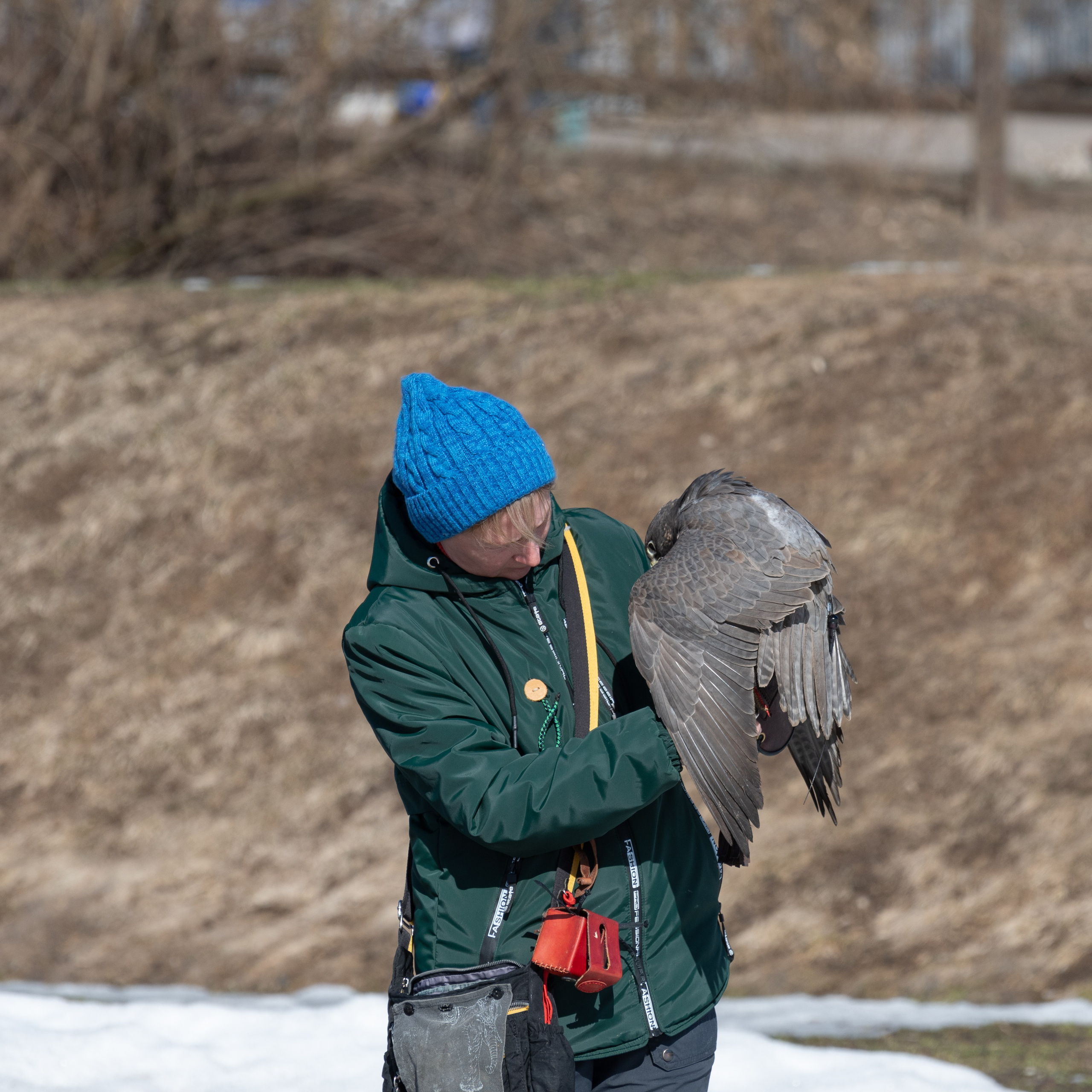 20220320 Коломенское. Дмитрий Ремизов. Фотография, как хобби