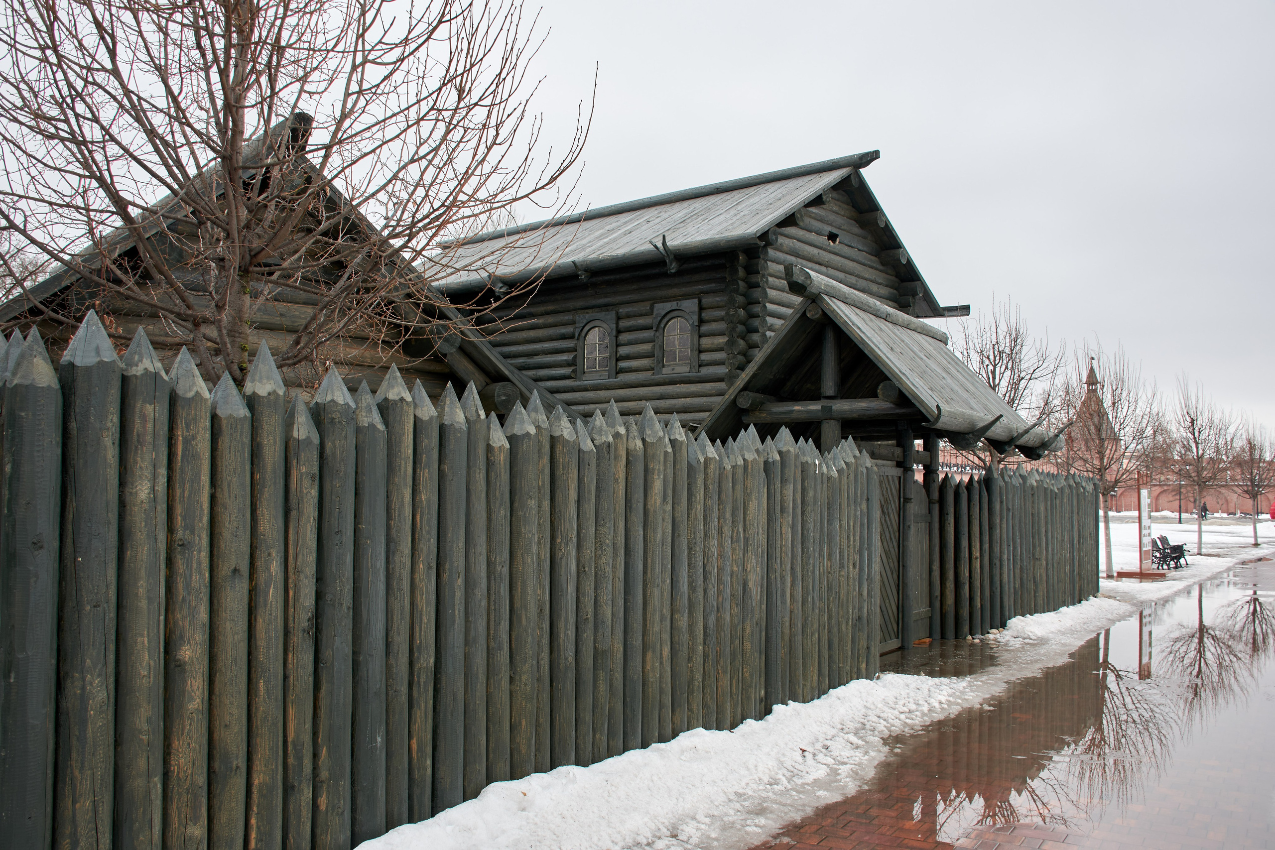 20210316-18 Тула. Дмитрий Ремизов. Фотография, как хобби