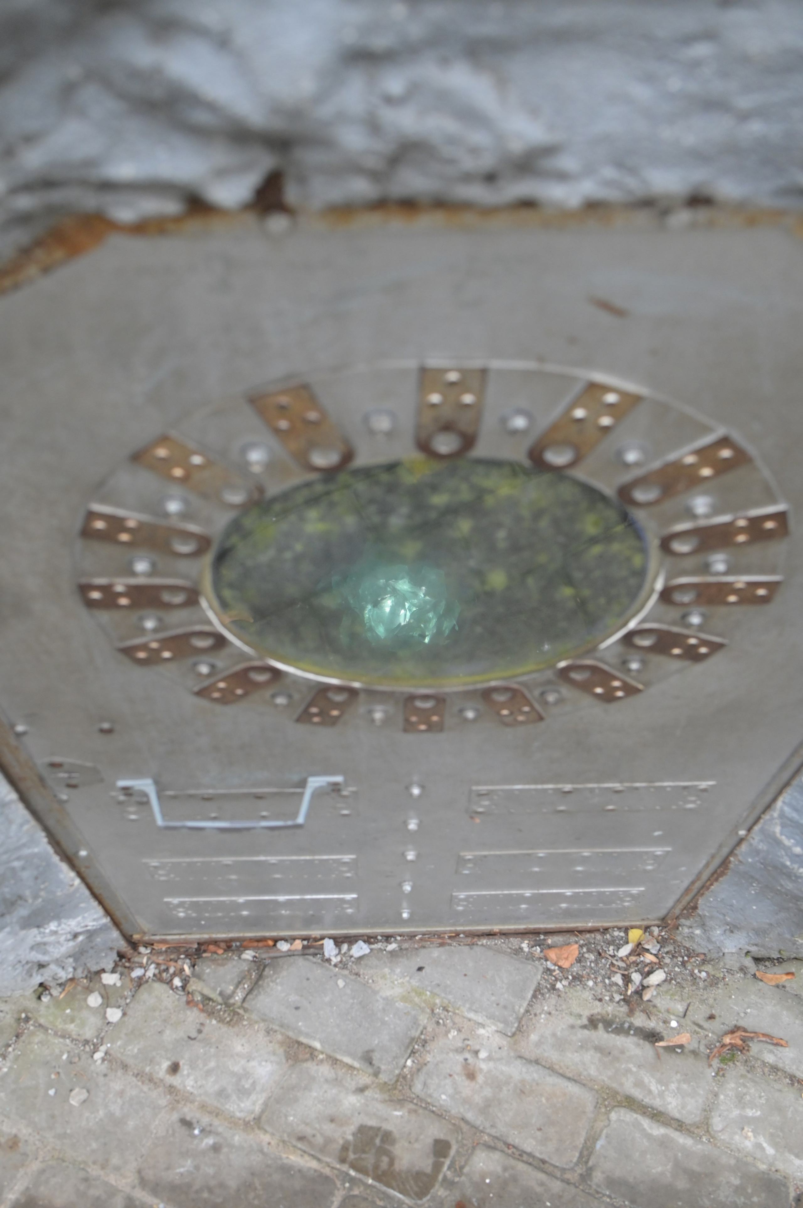 20241026 Сокольники. Дмитрий Ремизов. Фотография, как хобби