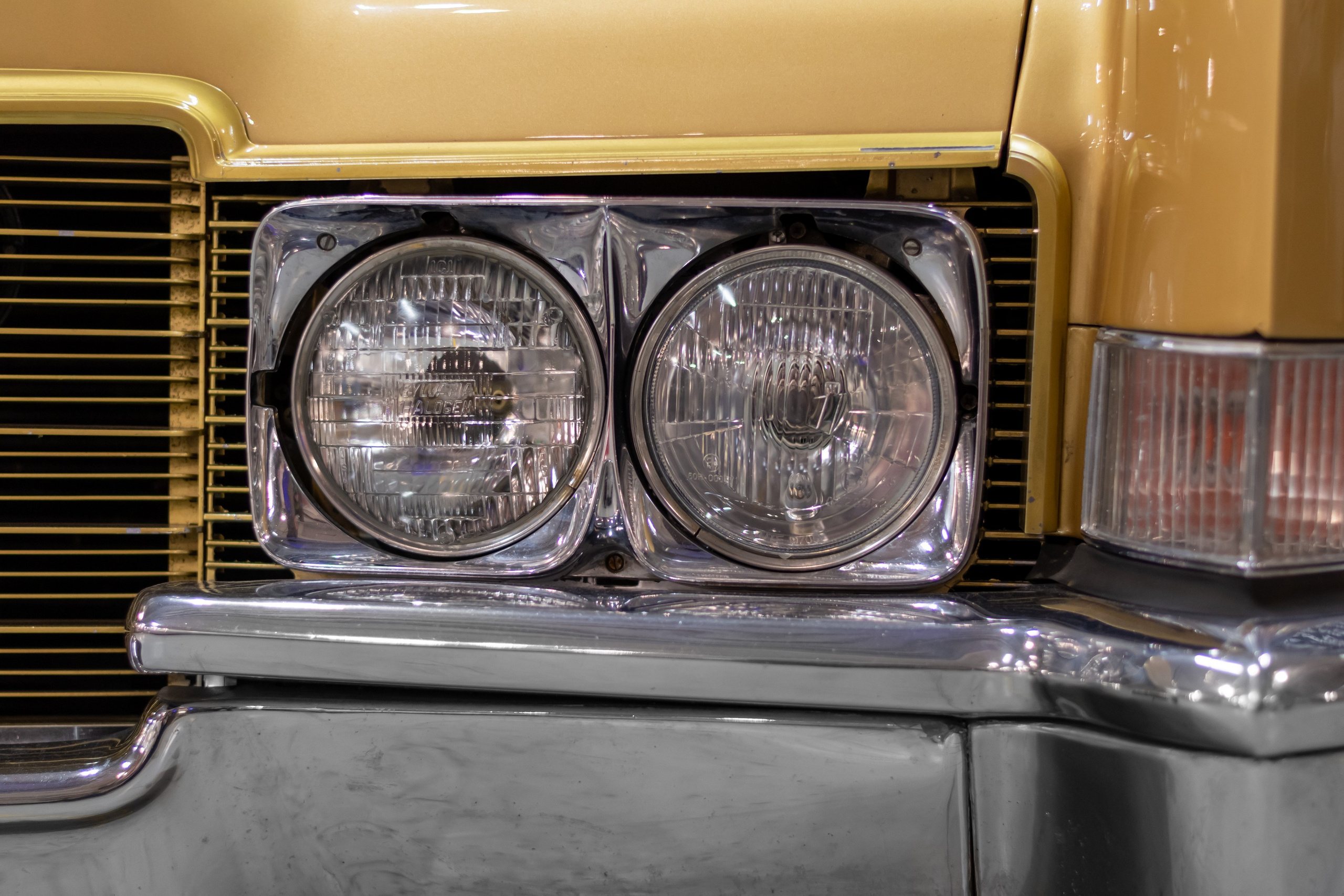 20211017 Музеон. Дмитрий Ремизов. Фотография, как хобби