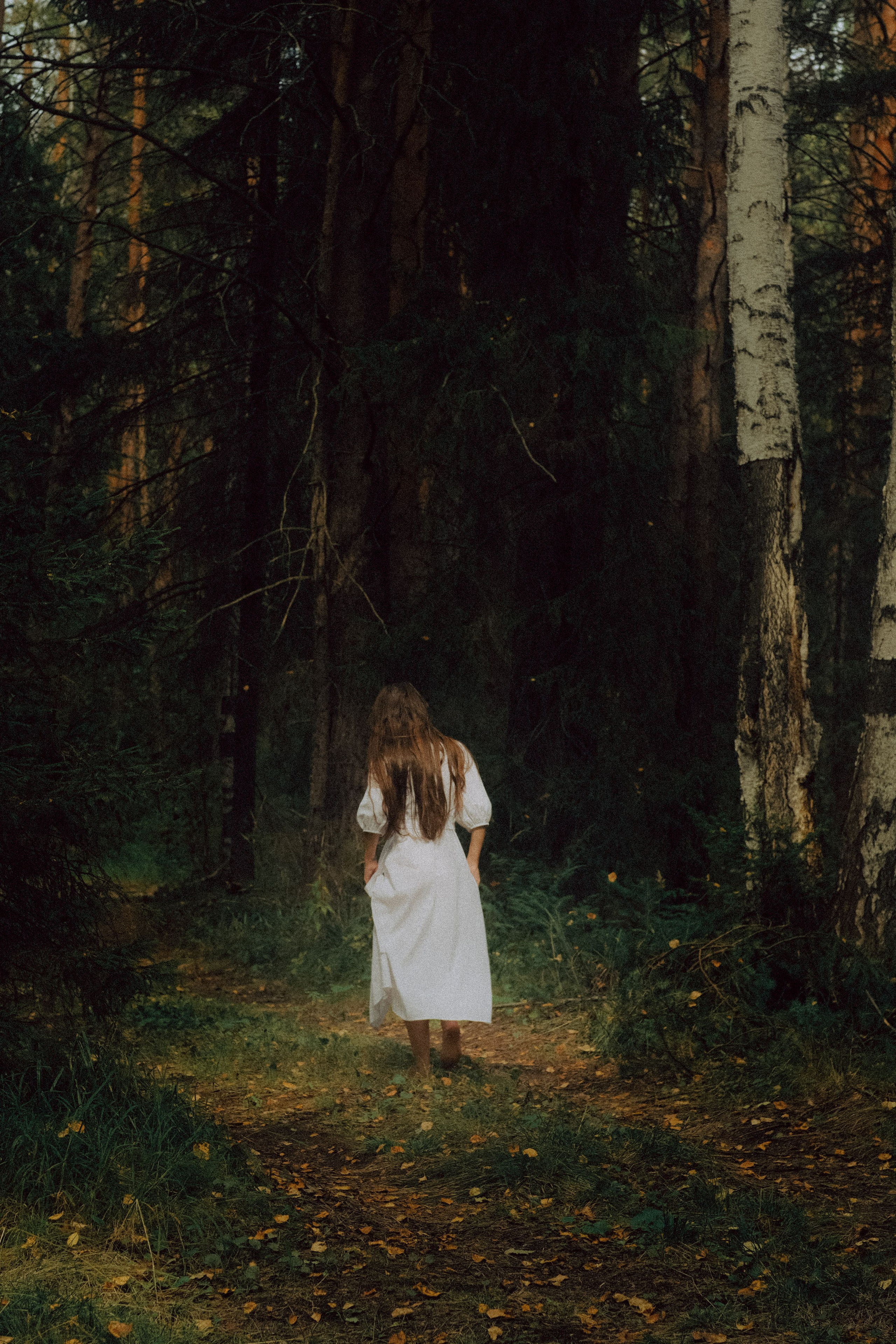 DINA. ГЛАВНАЯ