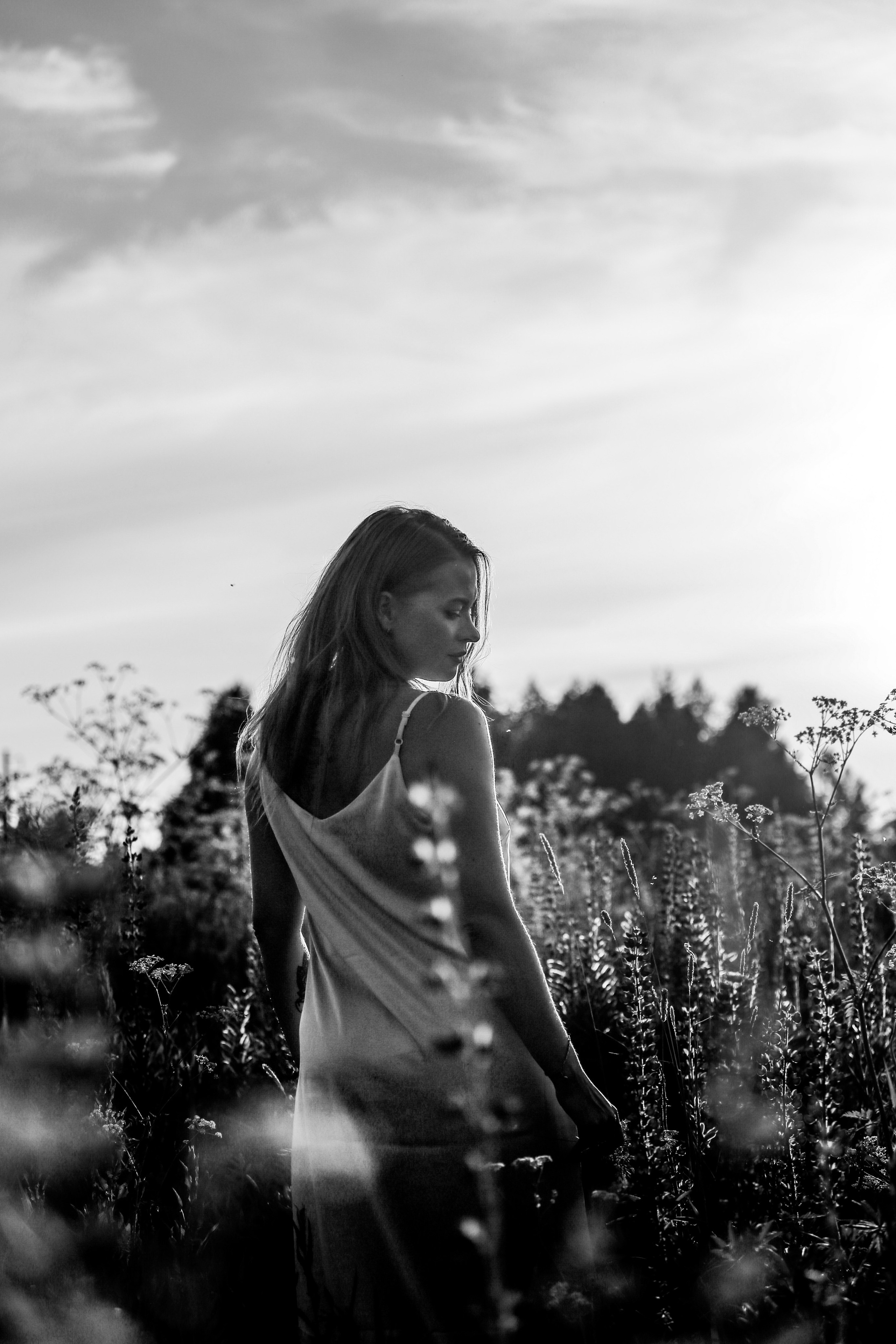 Среди люпинов. Efremovaphoto.ru