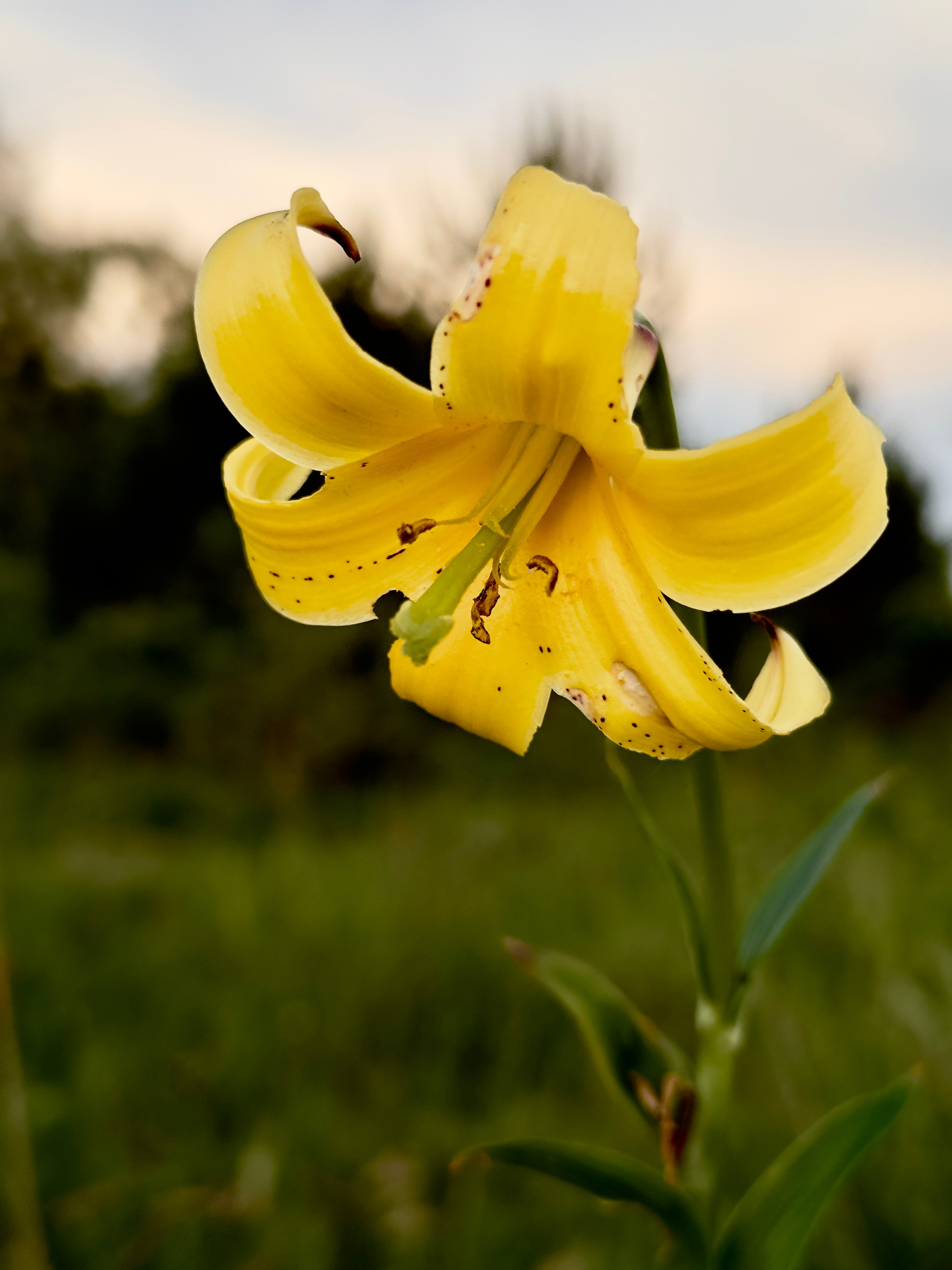 Флора и фауна. Смотри, красота!
