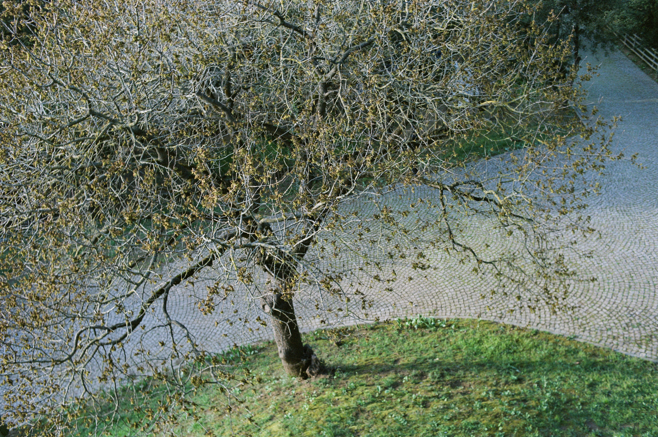 Journal. Photographer Dima Sharov | Фотограф Дима Шаров