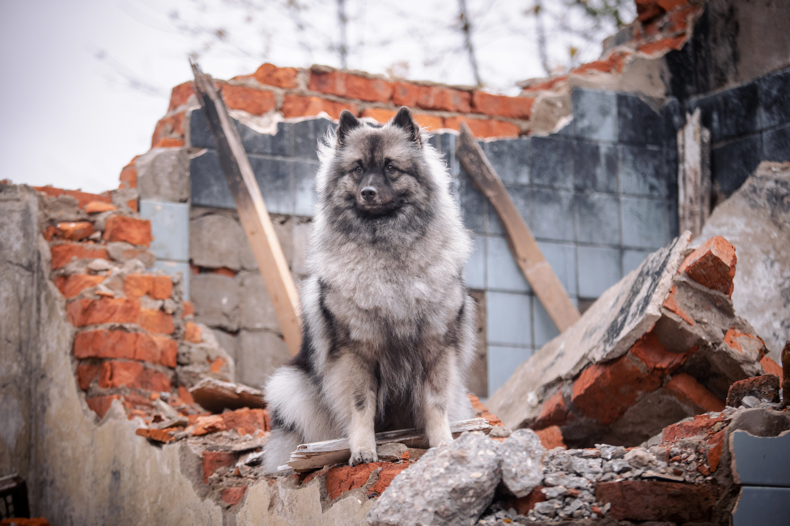 Фотосессии. Фотограф Ирина Астор