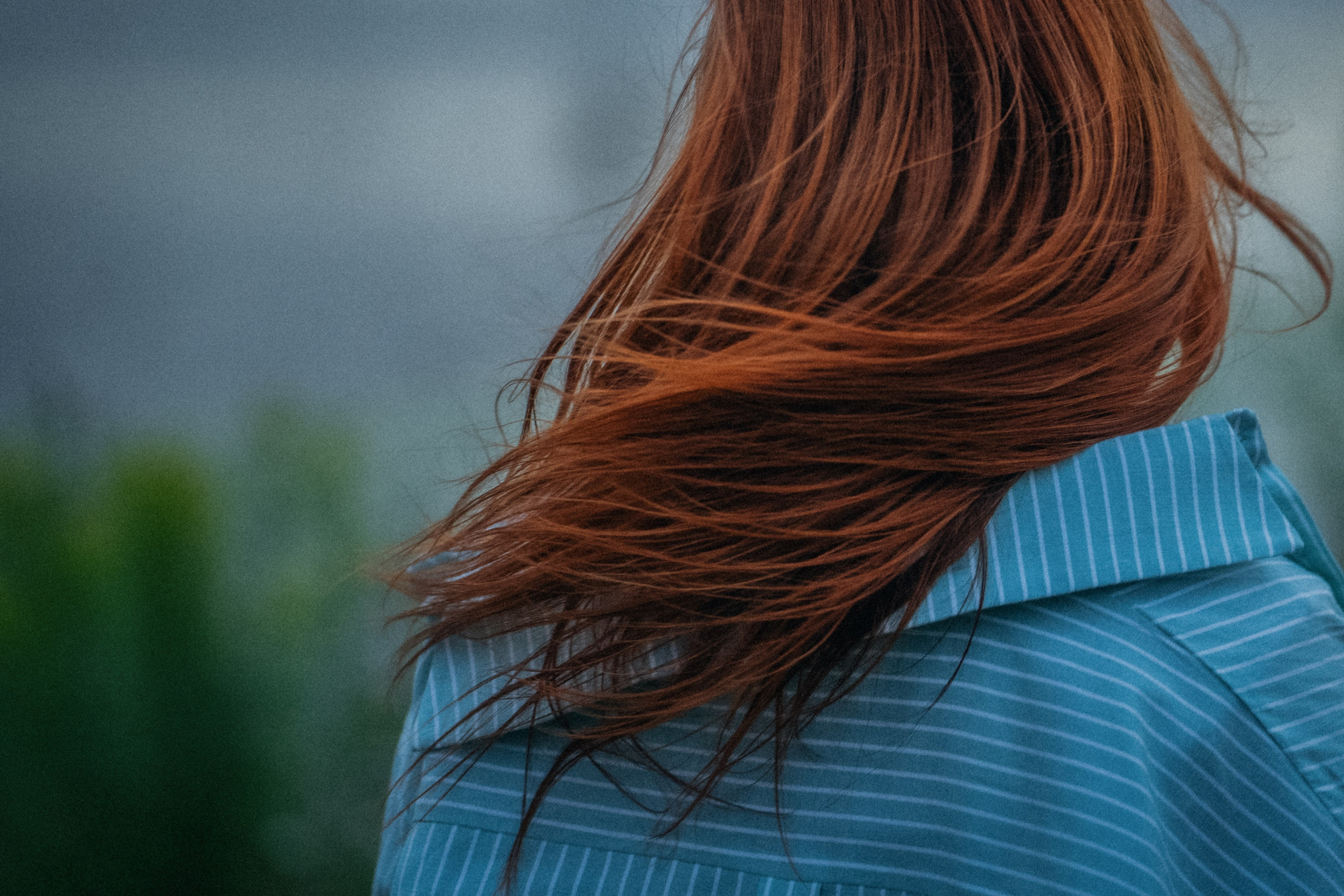 Вика и Фрея. Фотограф анималист в Москве и Санкт-Петербурге Свиридова Анна