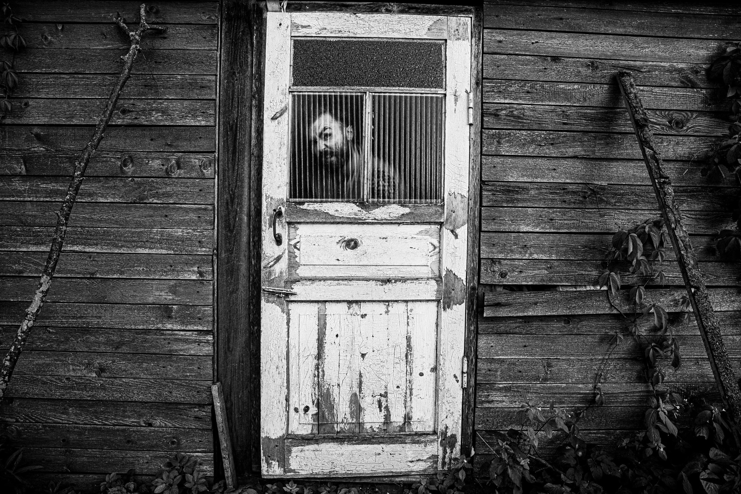 Коля. Черно-белый фотограф Дмитрий Пчелкин