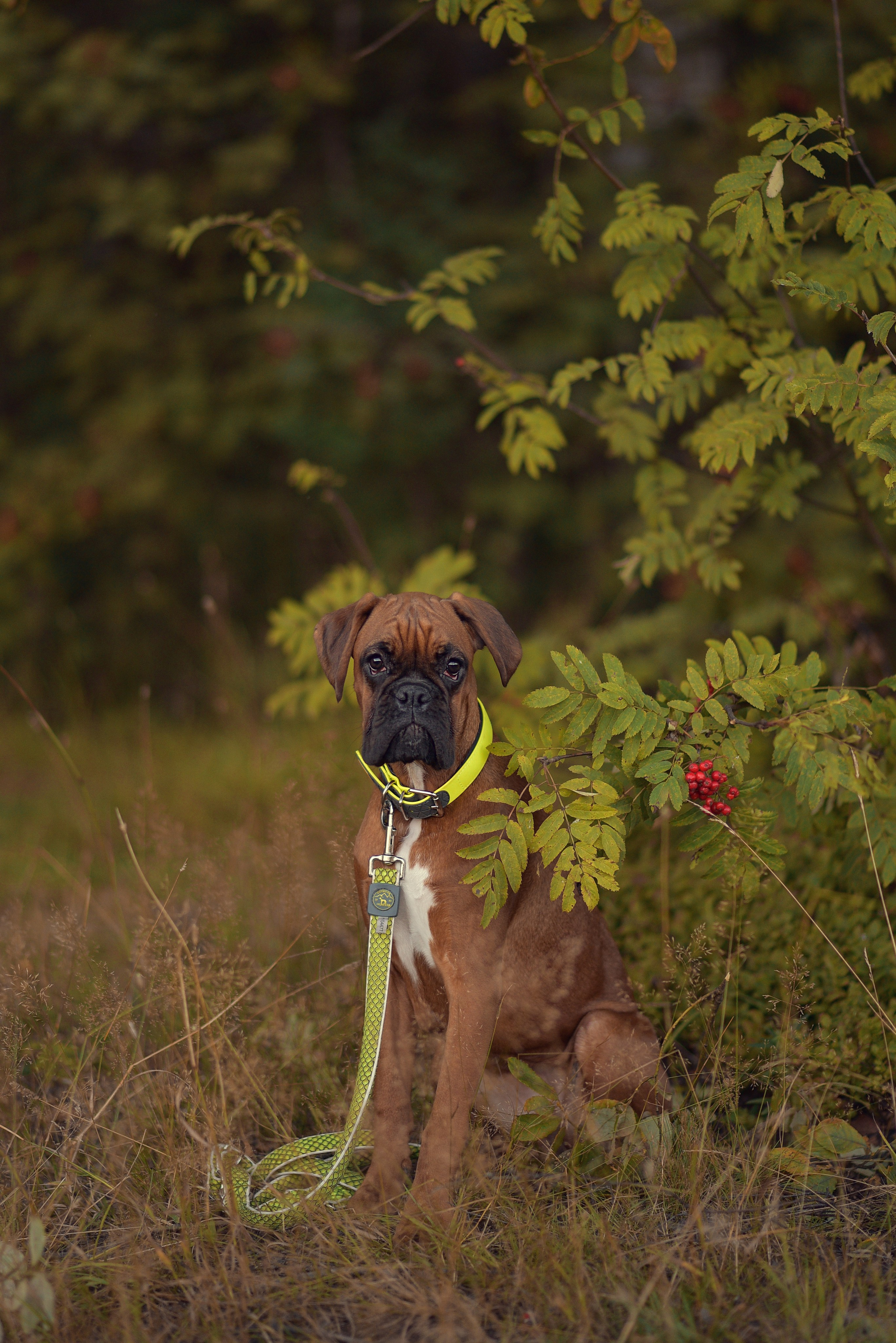 Фотосессия Даши, Никиты и Елки. Детский и семейный фотограф в Санкт-Петербурге и Мурманске Ксения Дуде