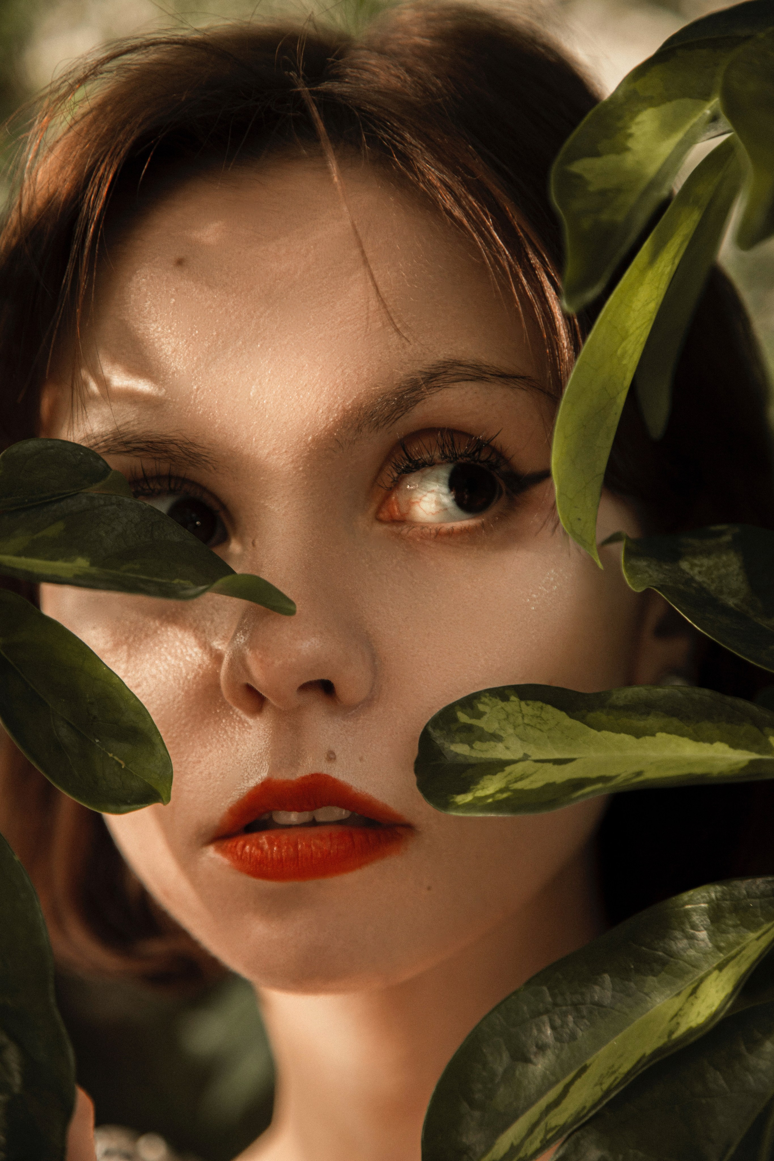 Оранжерея Таврического сада