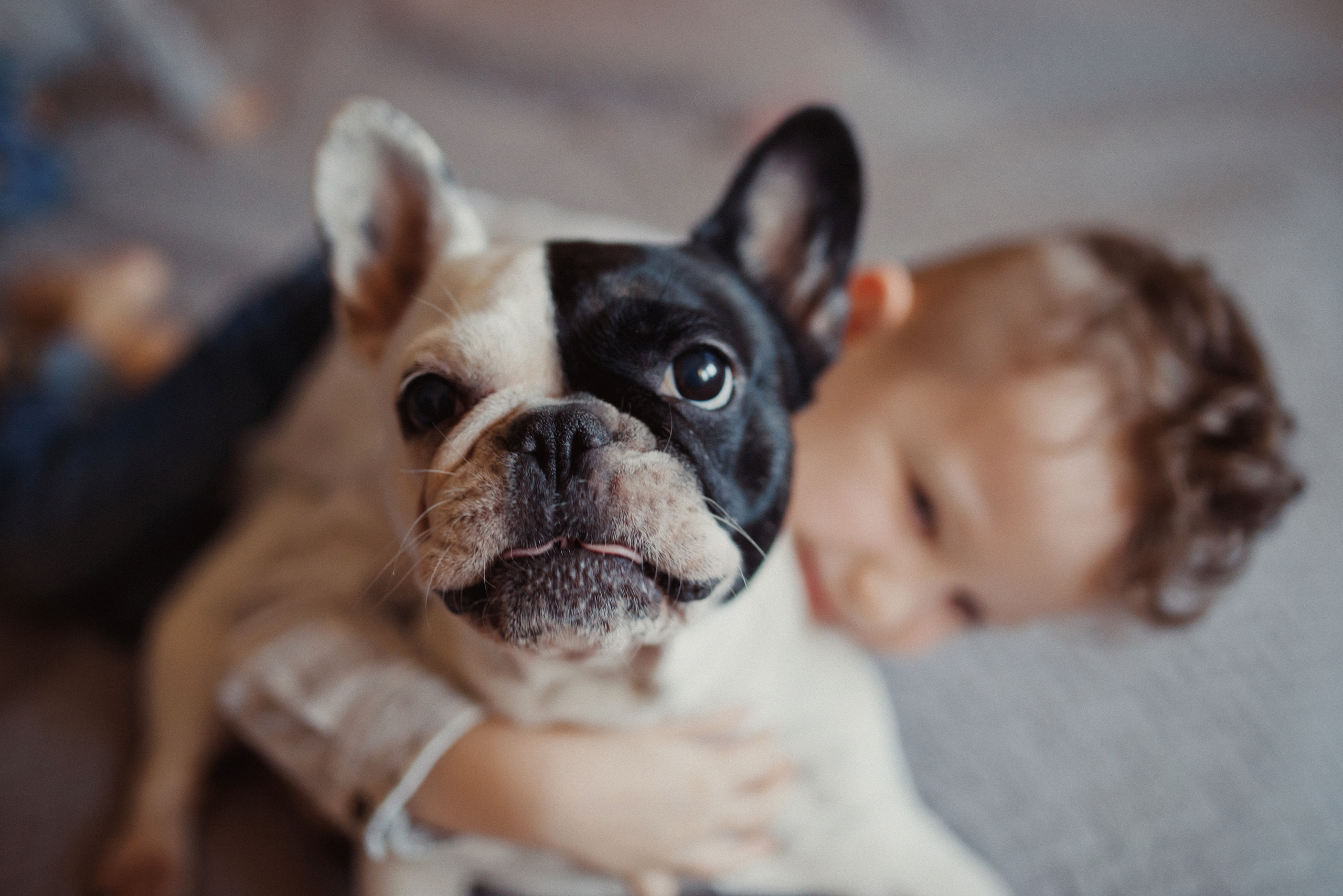 Домашний уют. Фотограф Санкт-Петербург