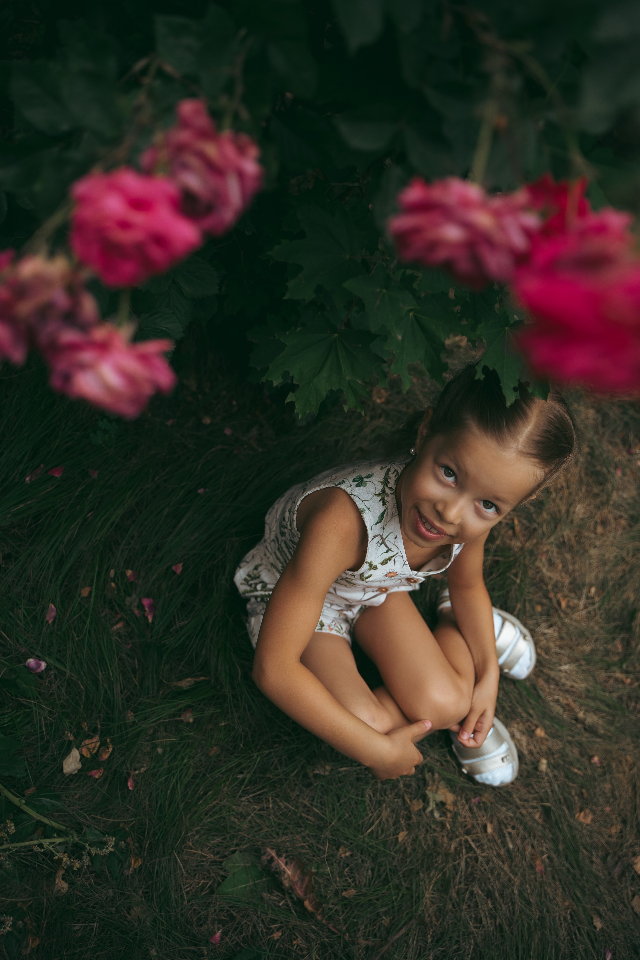 Розы. Фотограф Мария Зайчик