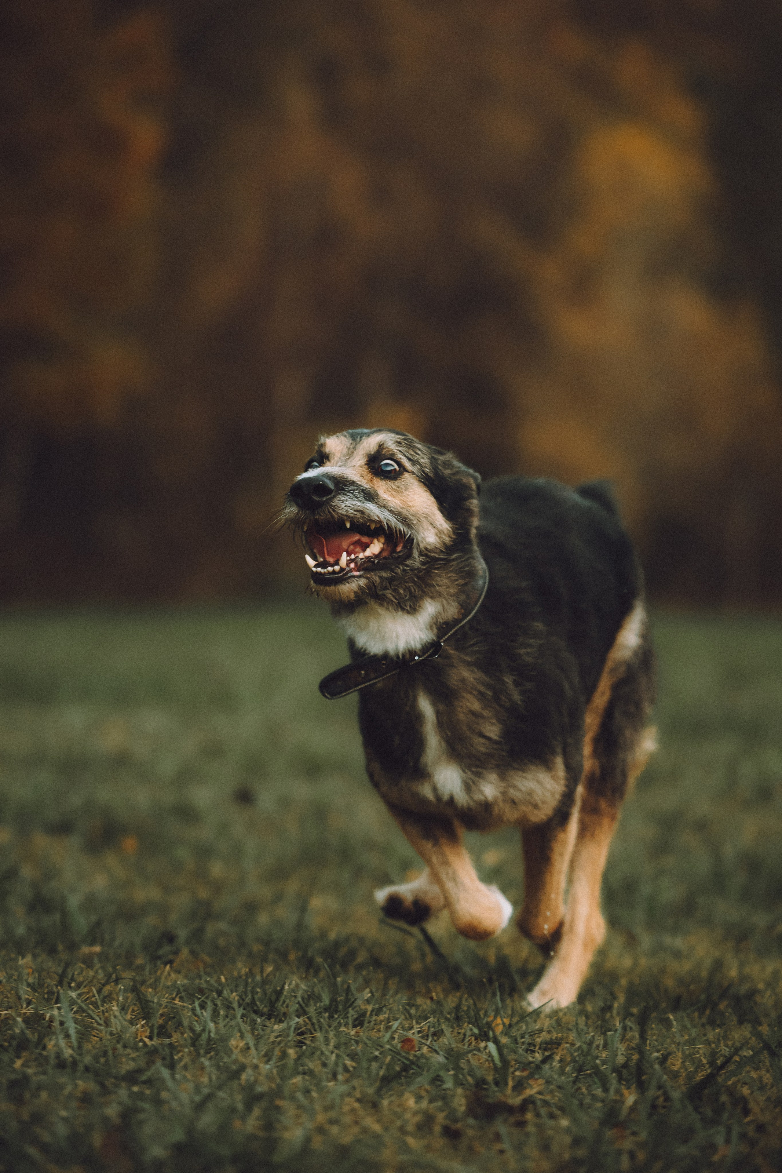 Рик, Джек и их семья